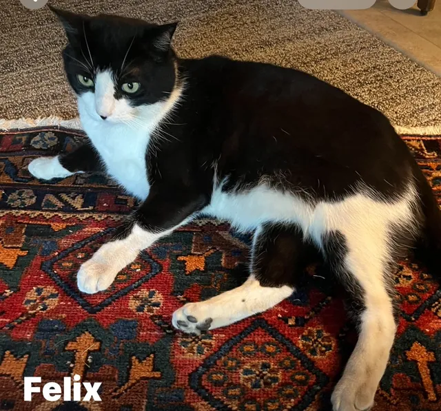 Felix - 15500 SW Davis Rd, Beaverton