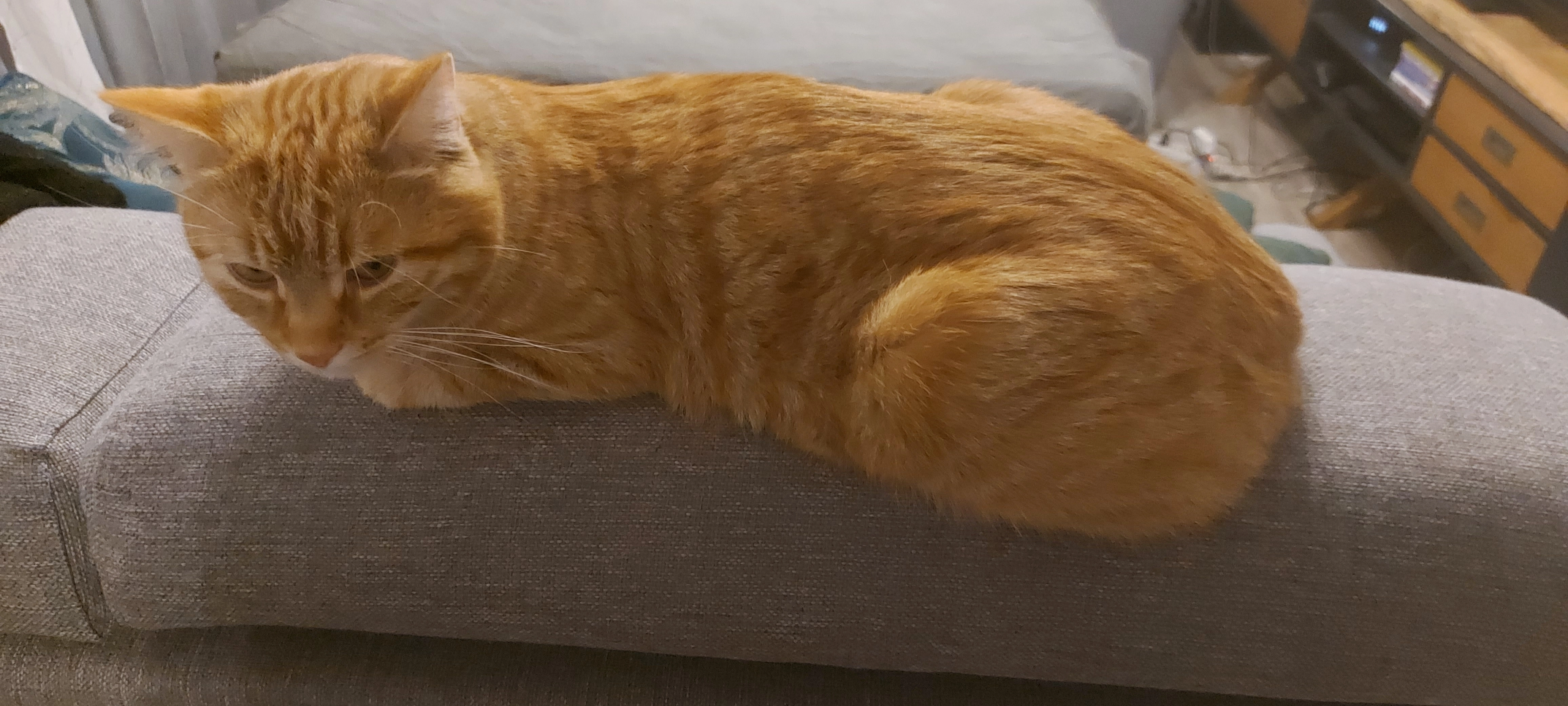 Ugg - 9 Rue des Vaux de Cernay, Auffargis