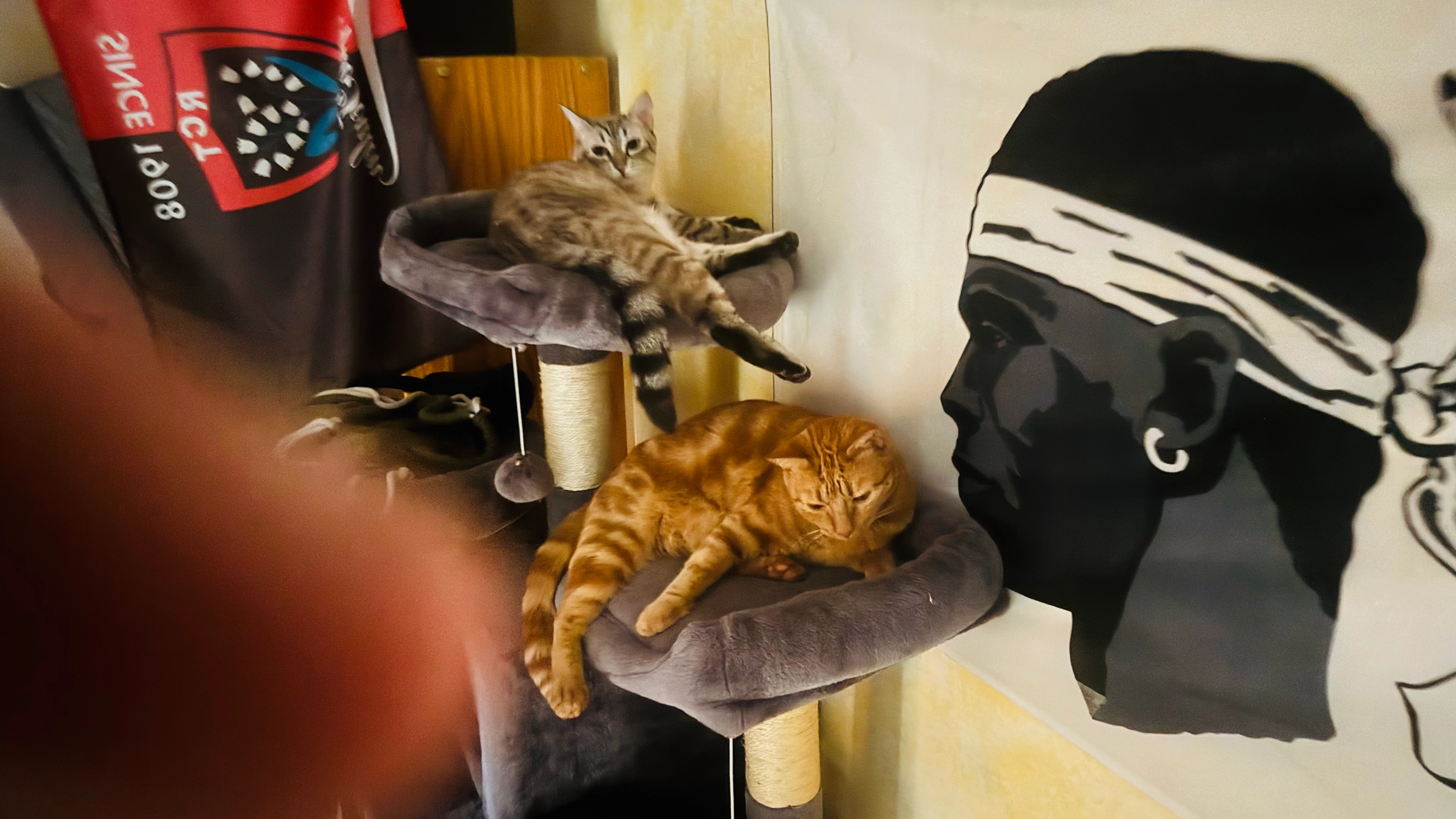 Satine - 50 Chemin des Bastides Fortes, Éguilles