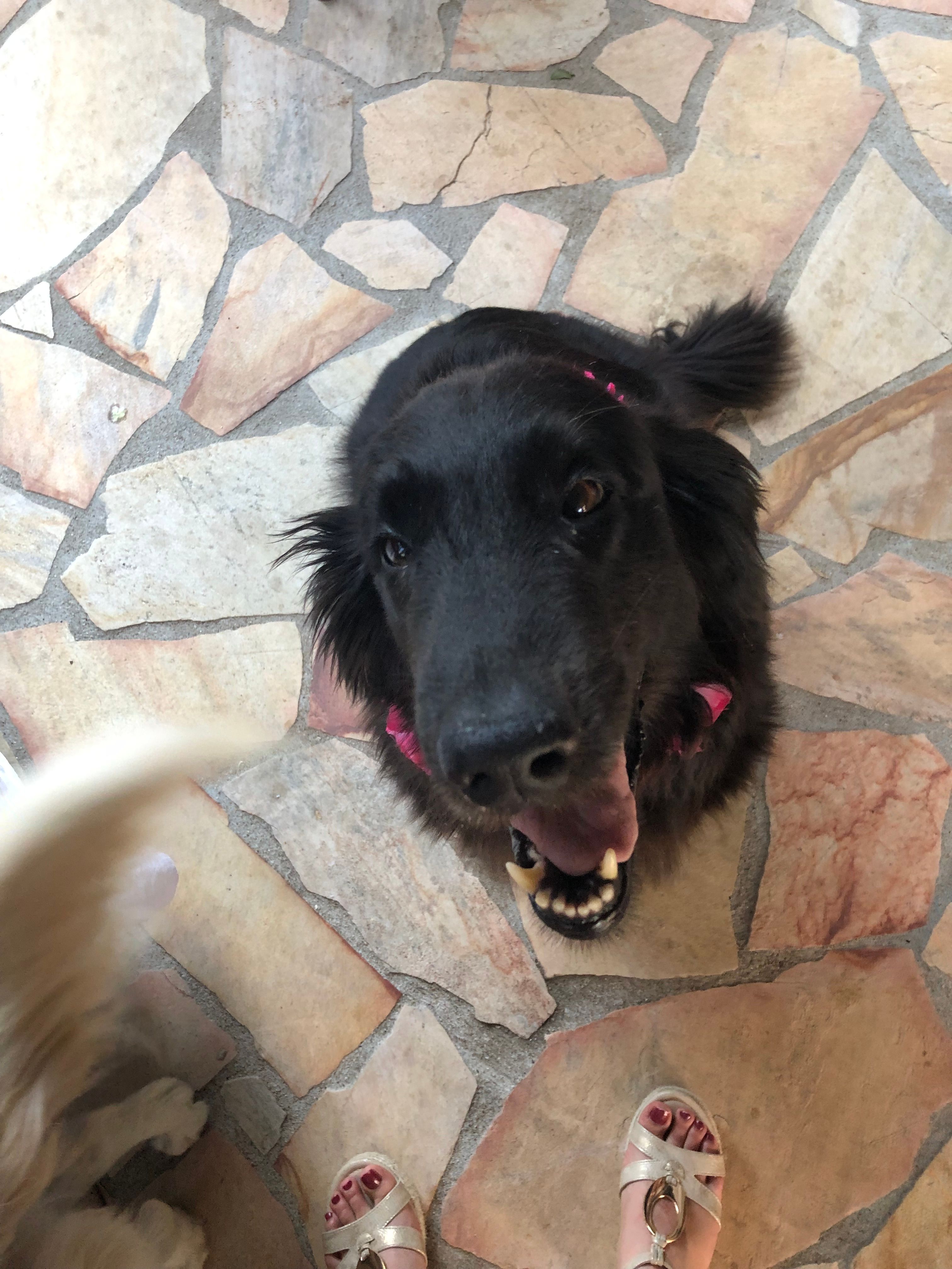 Iscah - 5 Impasse Fleury-Richarme, Saint-Étienne