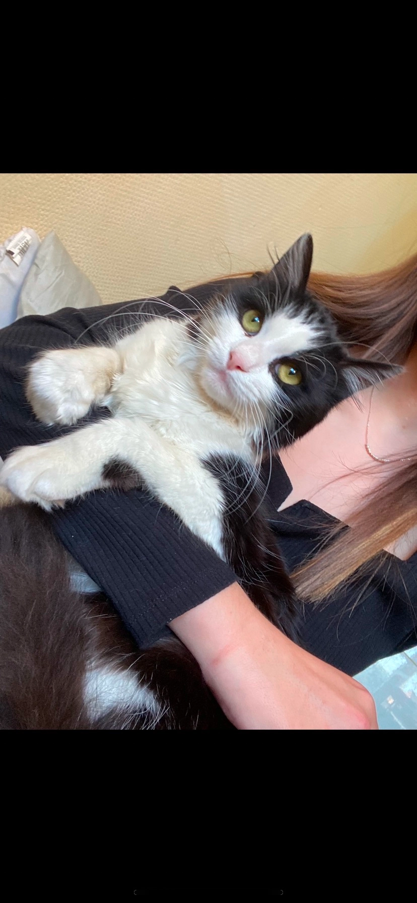 Mimine  - 19 Rue Romaine, Audincourt