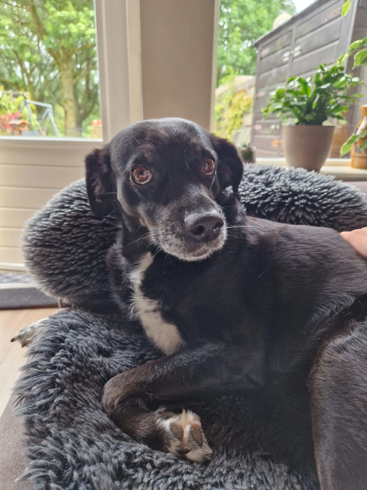 laura - Kanaalweg, Vianen