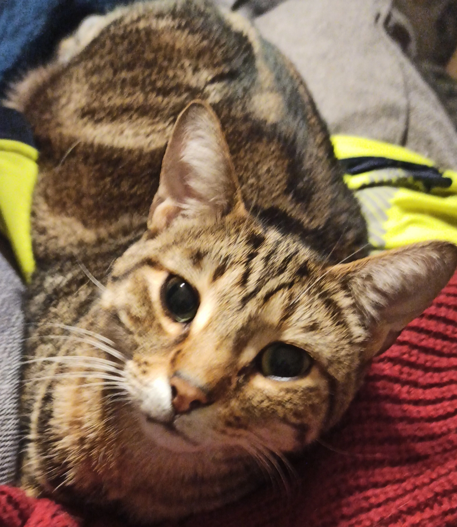 Lucky - Rue Des Barrières, Le Fenouiller