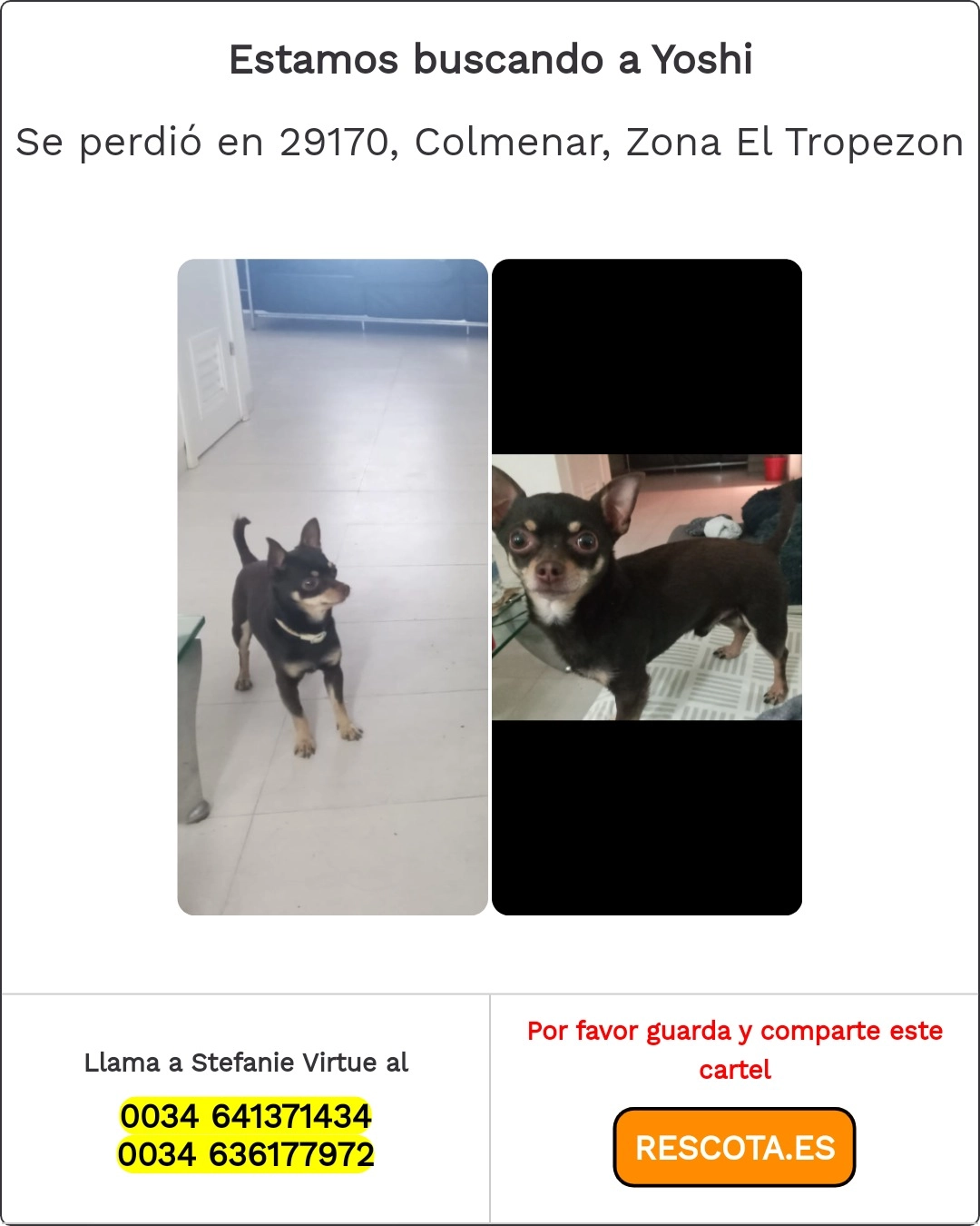 Yoshi - Carretera Camino De Solano, Colmenar