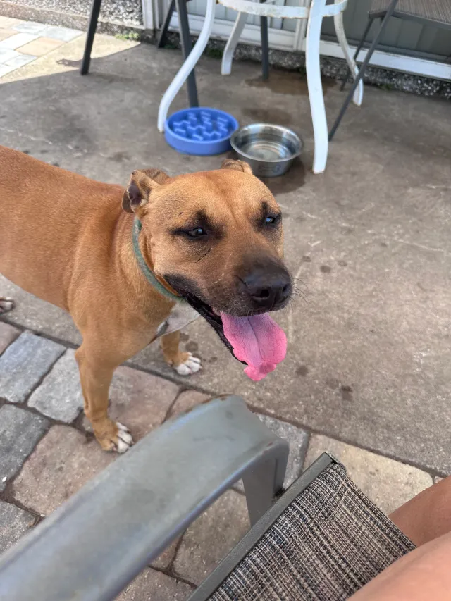 Penny - North 10th Street, St. Augustine