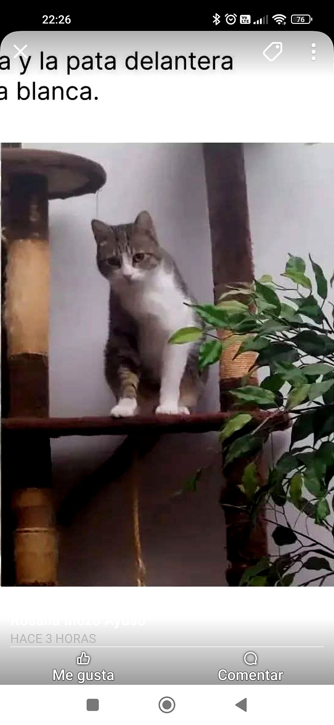 Darko - Calle De Rodrigo Yusto, El Burgo de Osma-Ciudad de Osma