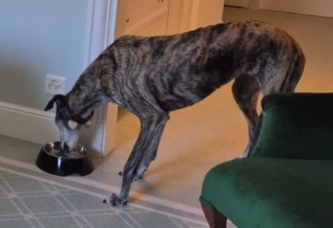 Renata - Route de Barra, Arbaz