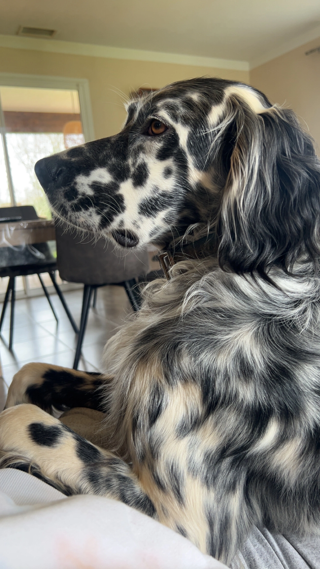 Utxa - Boulevard Jacques Duclos, Tarnos