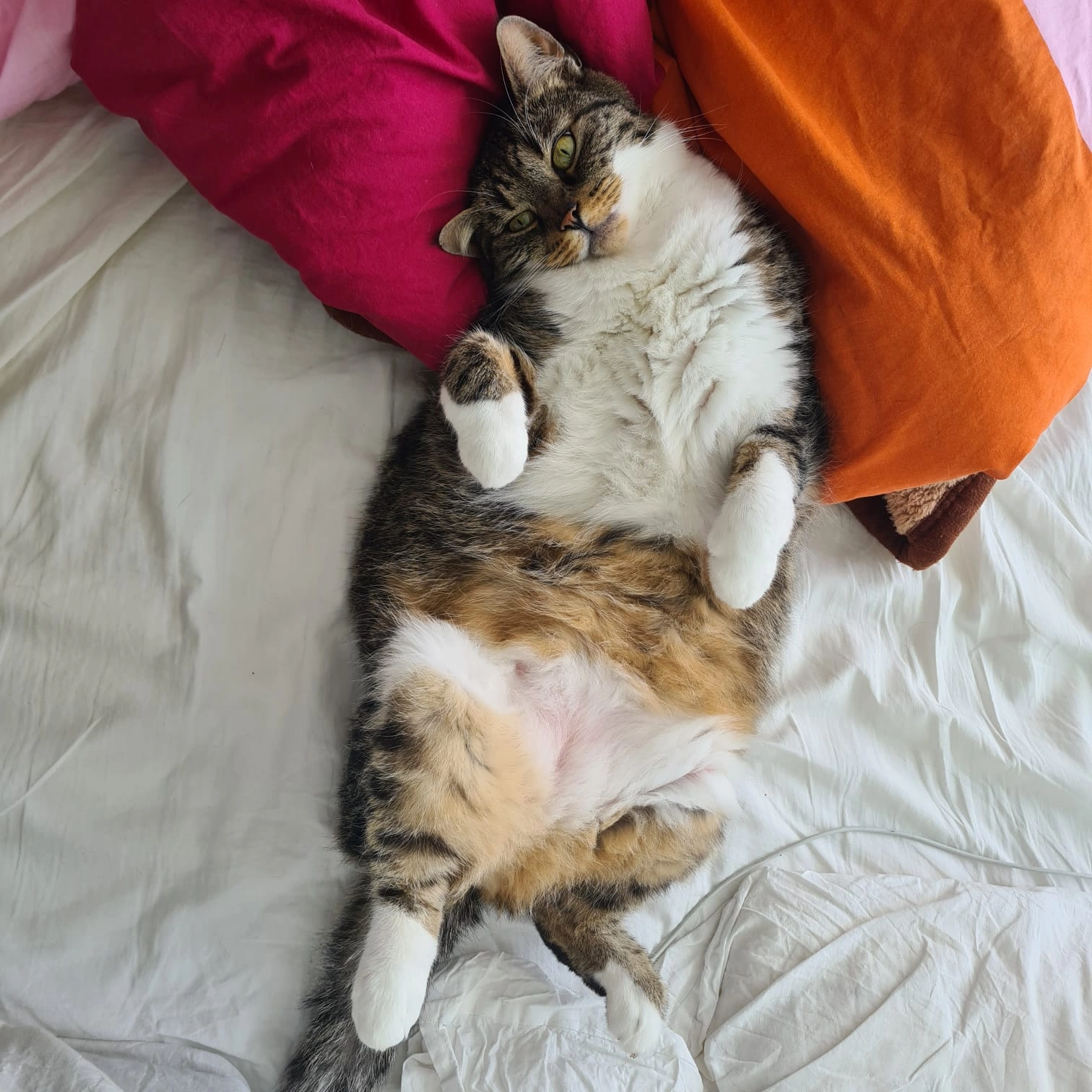 Mela - Langbargheide 47, Hamburg