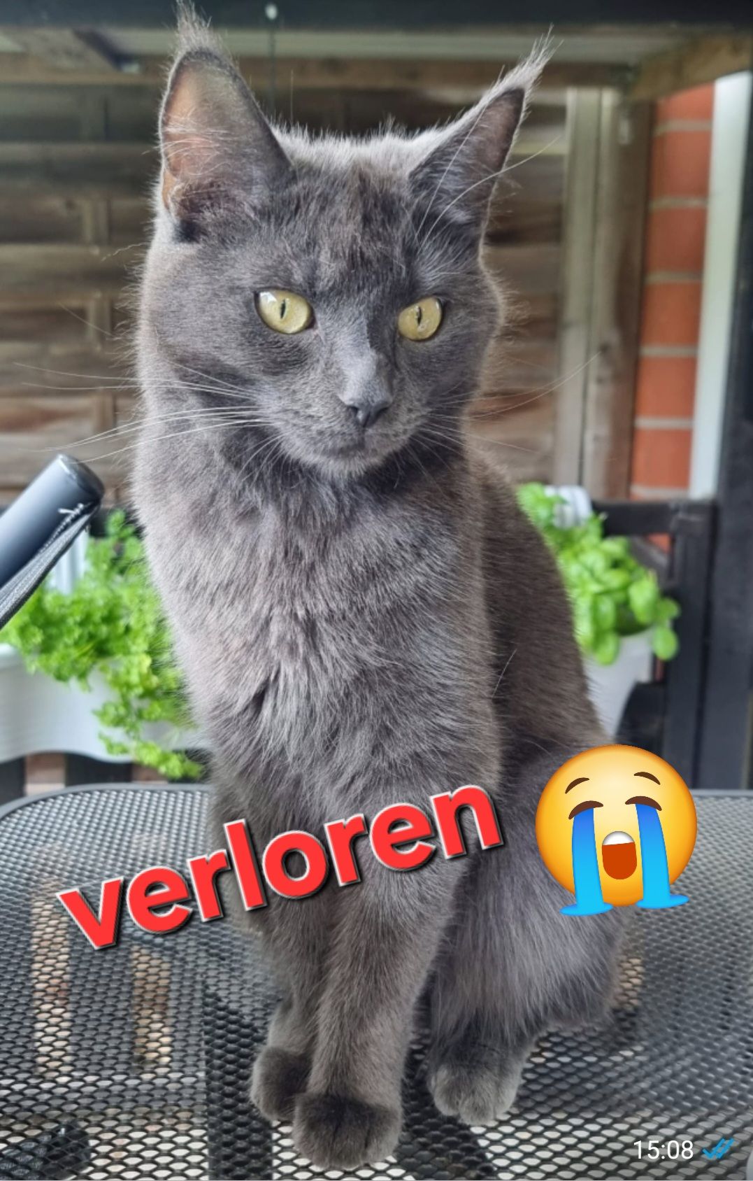 Fiji - Emsener Straße, Buchholz in der Nordheide