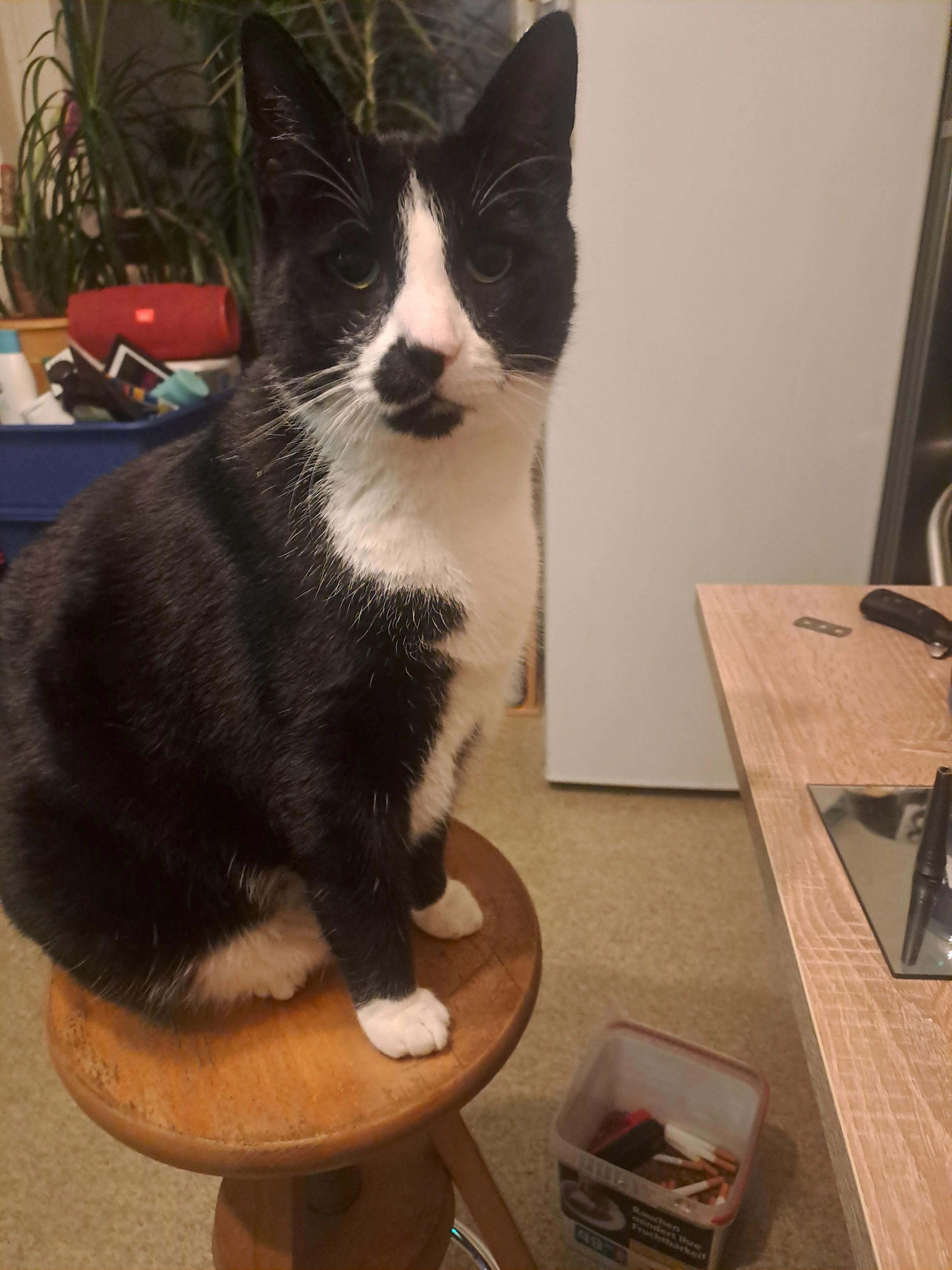 Krümel  - Vor der Bahn, Achim