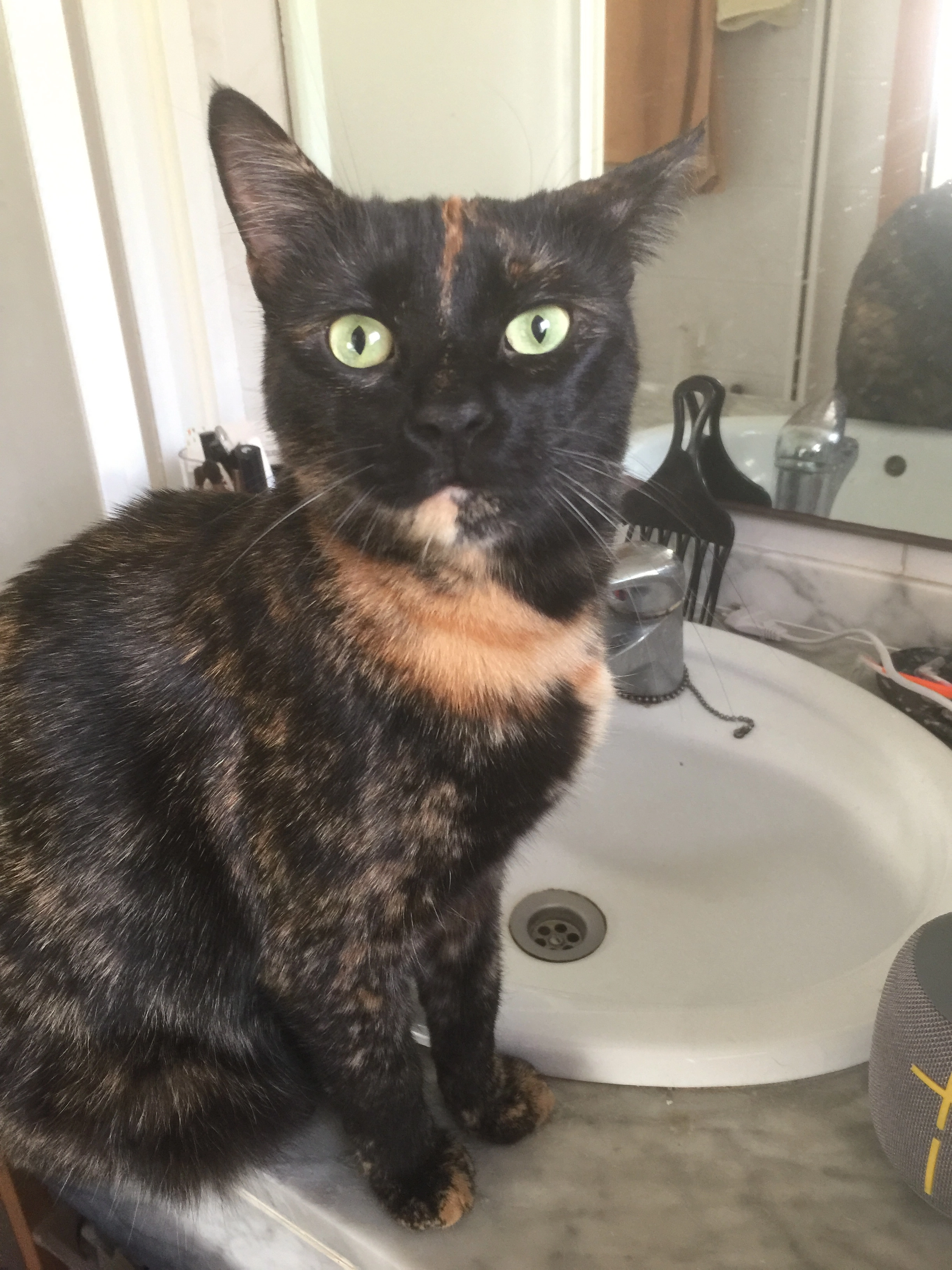 Haru - Avinguda De Josep Miró I Argenter, Sitges