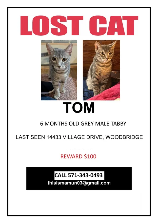 Tom - 14433 Village Dr, Woodbridge
