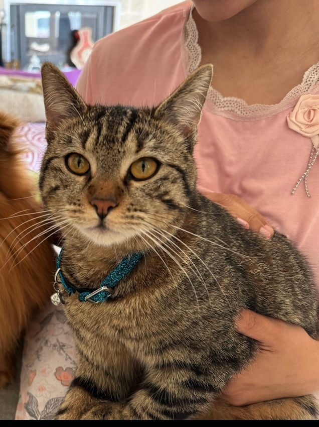 Moise - Allée des Tourterelles, Rosny-sur-Seine