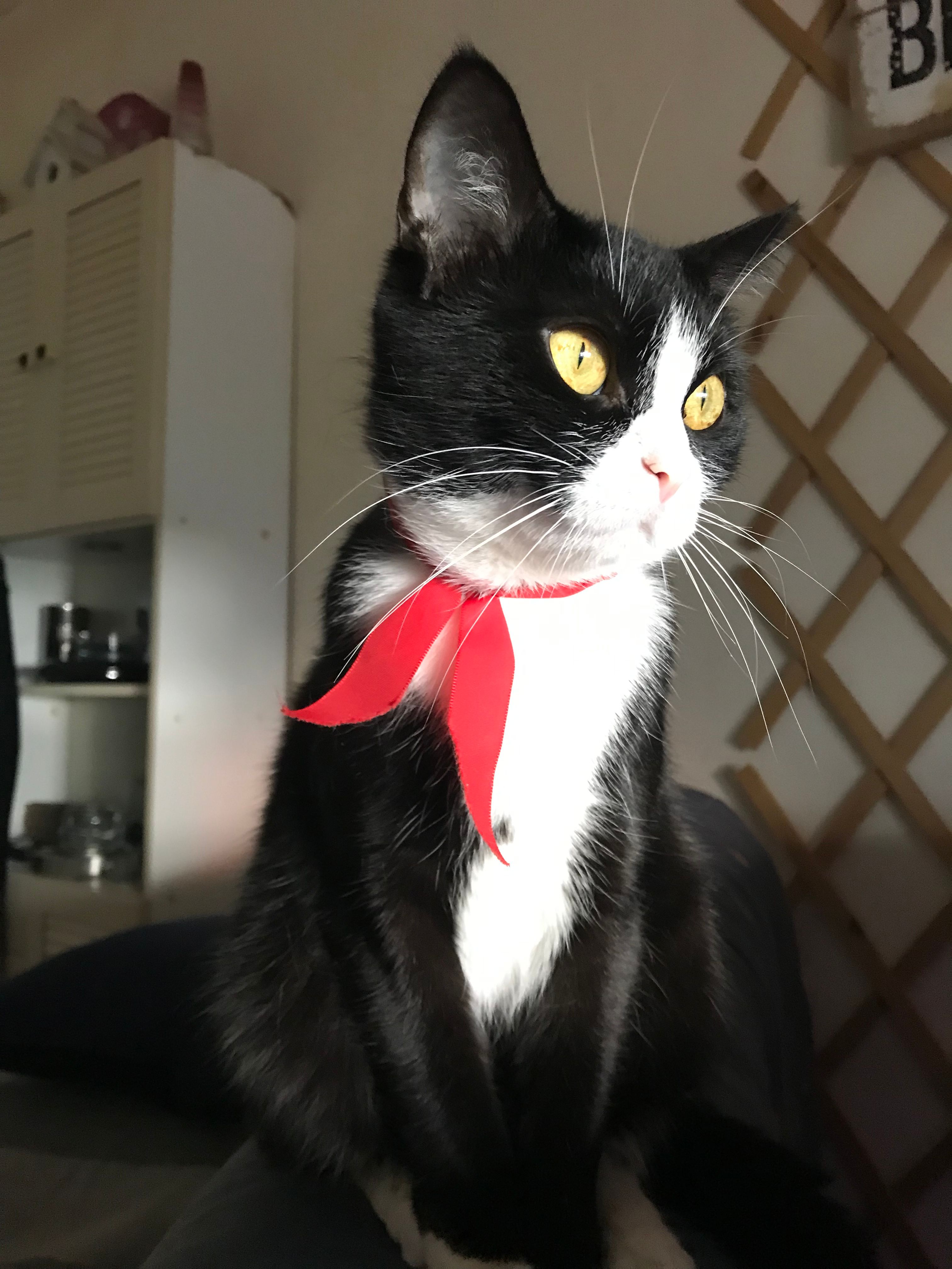 FIFI  - Rue De Nancy, Valmont