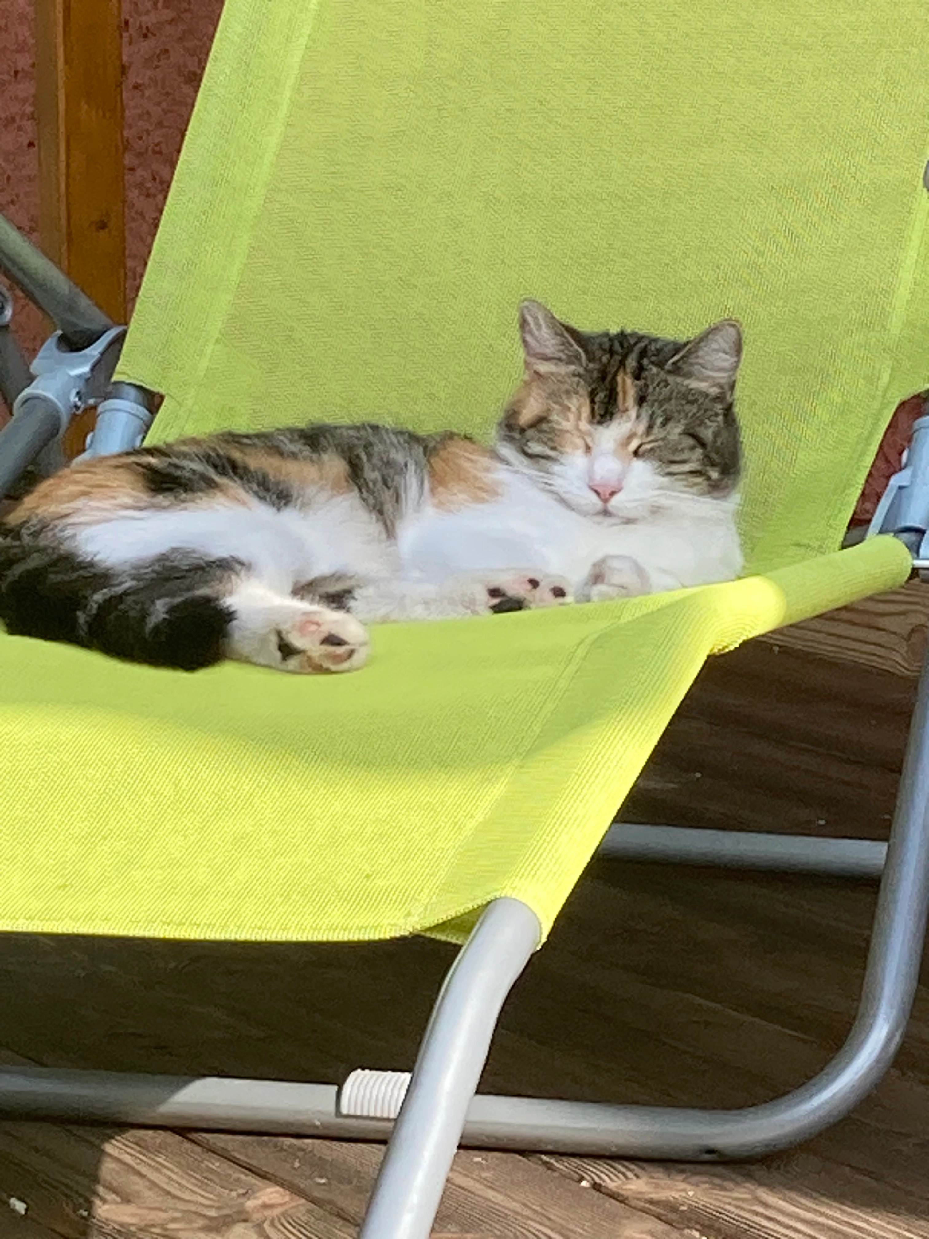 Funny - Reuterallee, Falkensee