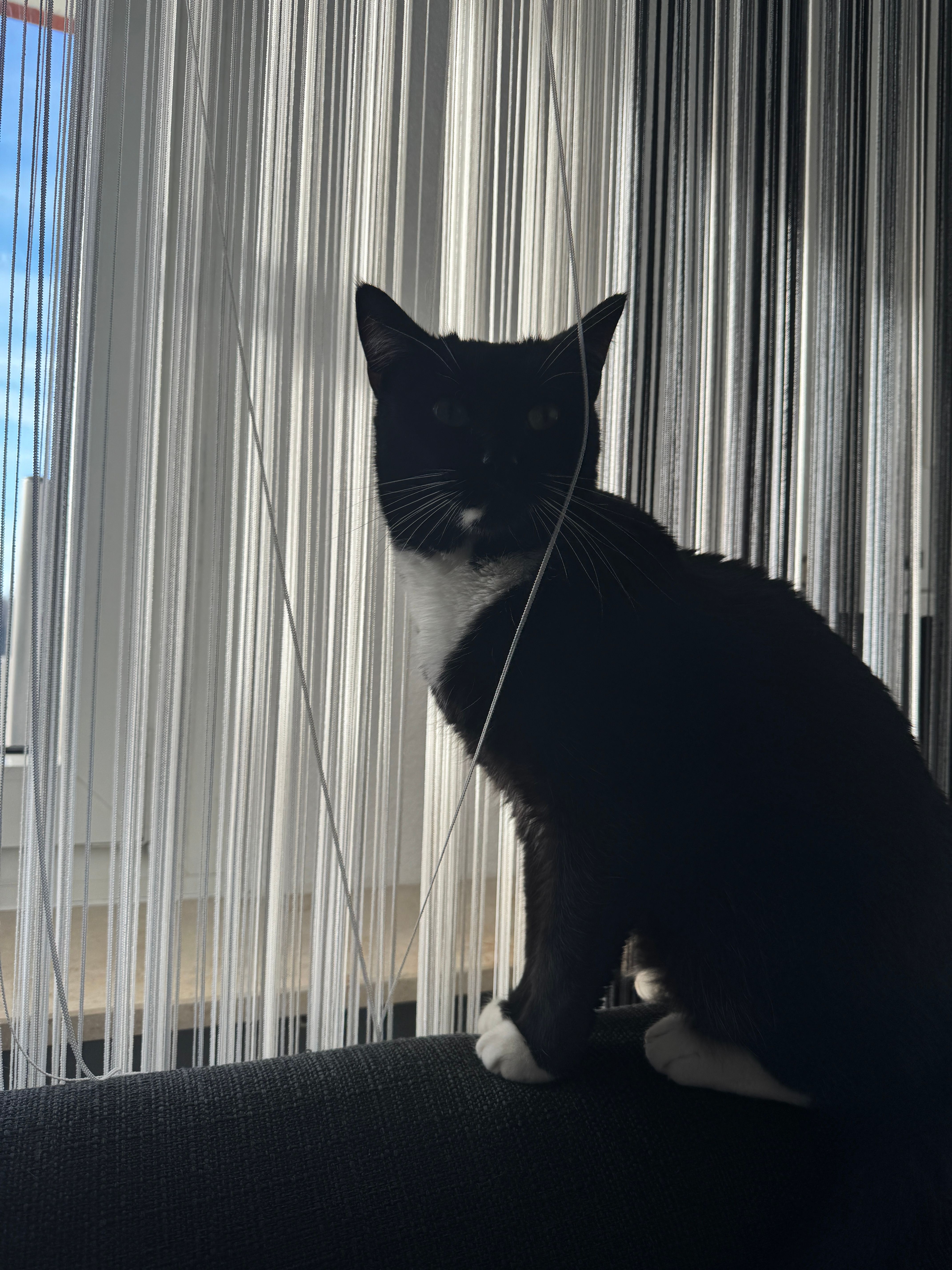 Miro - 72213, Altensteig