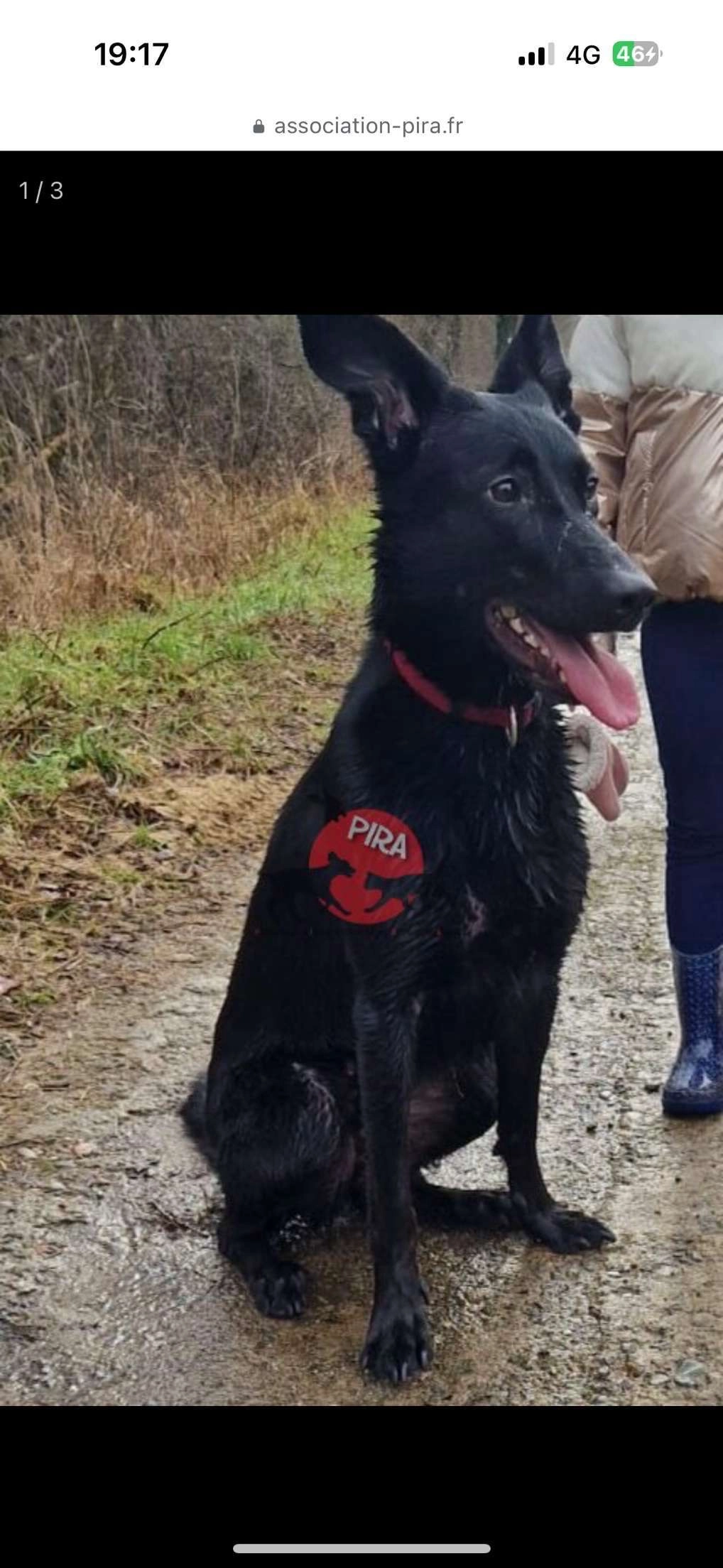 Thalys - Rue De Soultz, Wittenheim