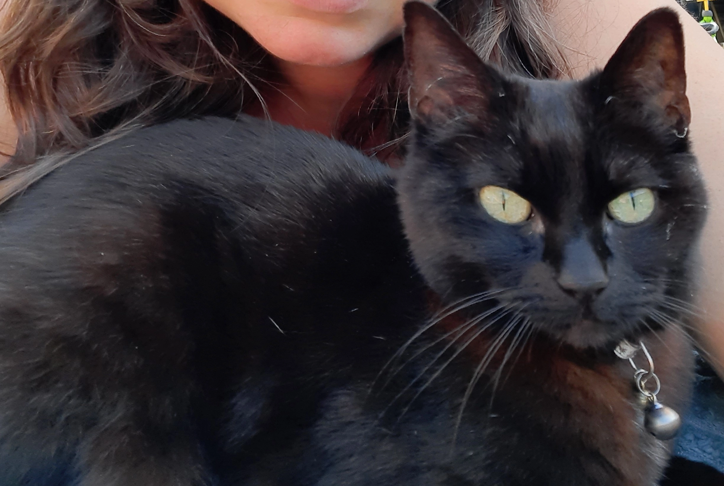 Luna - Jan Steenstraat, Hardenberg