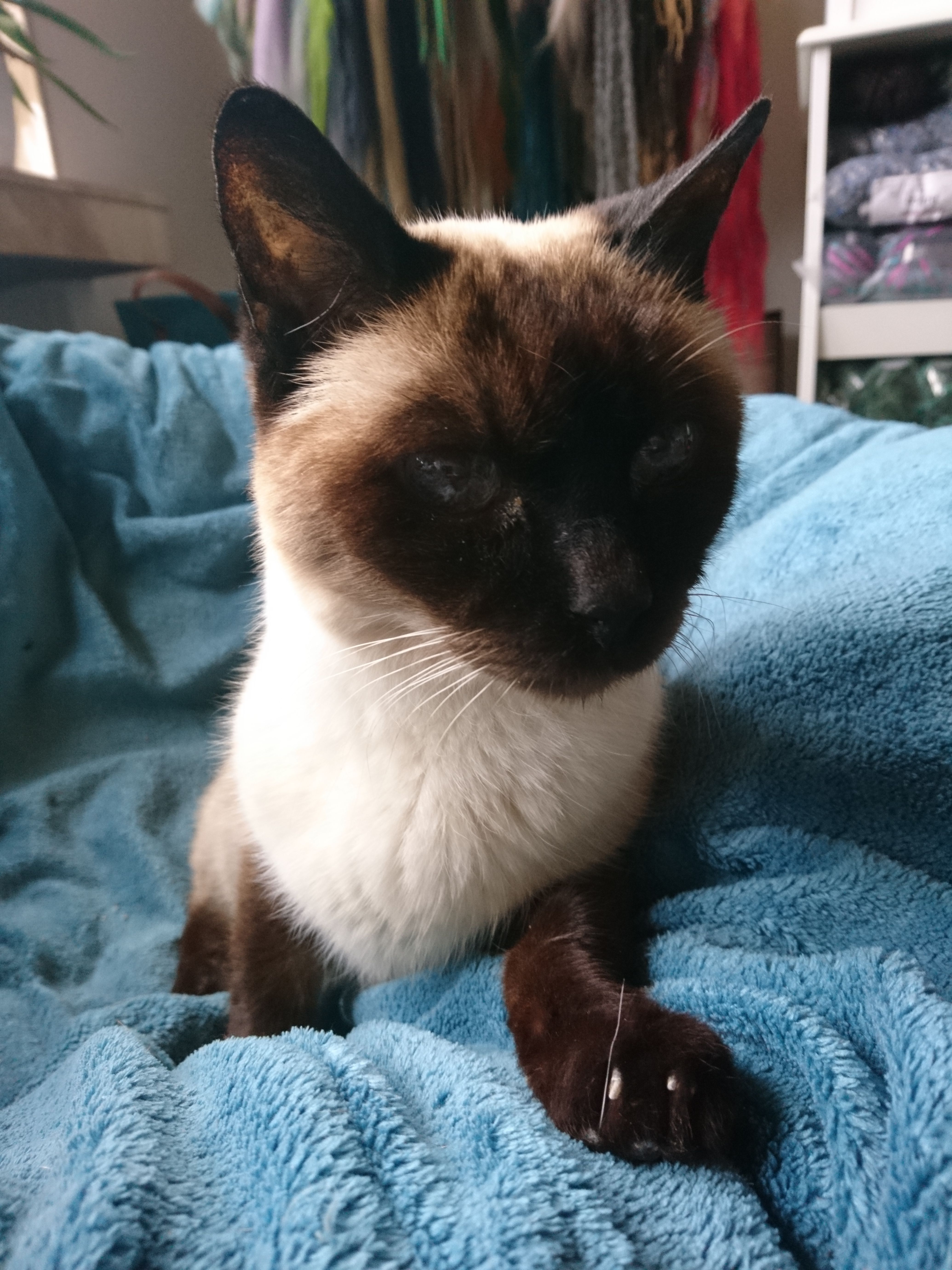 Peterchen - Asternweg, Baunatal