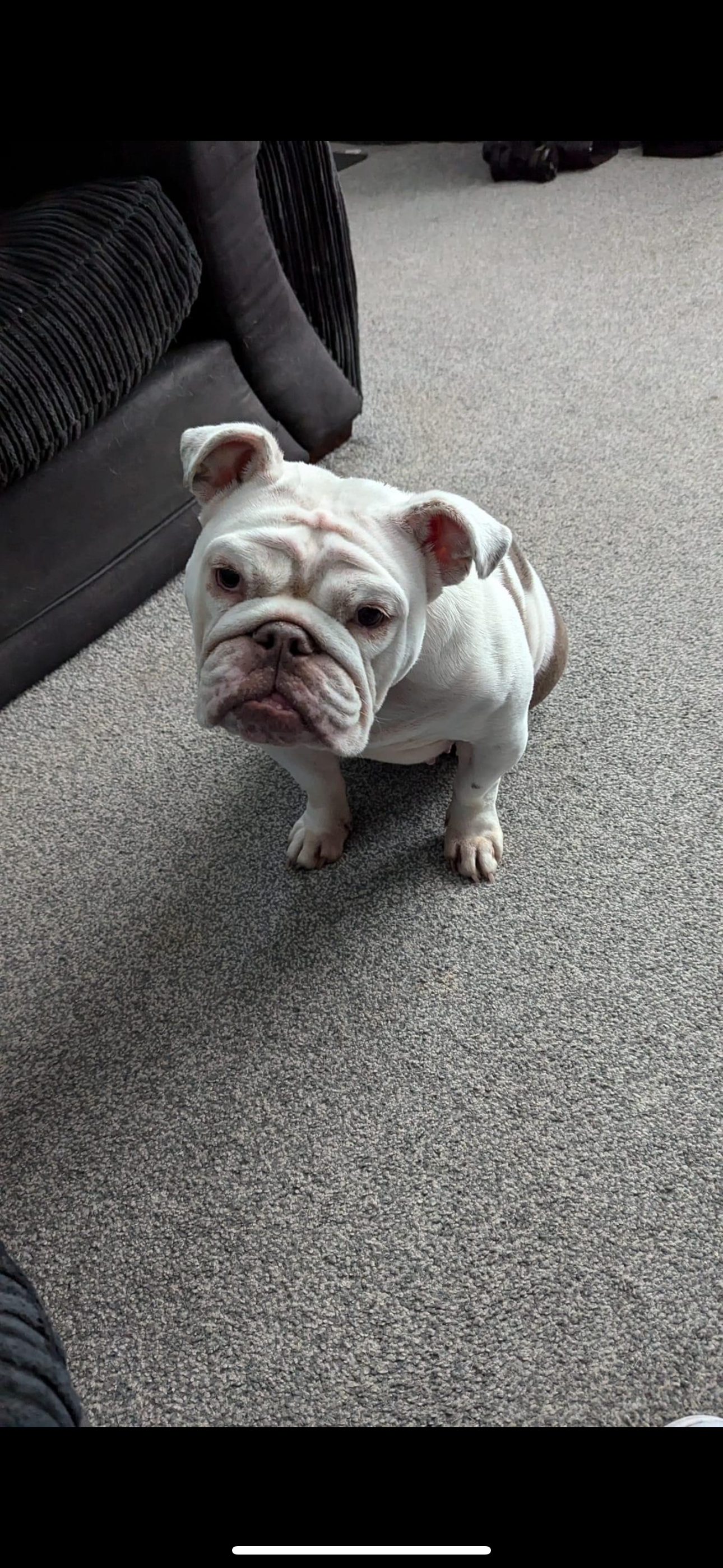 Sky - Otley Road, Bradford