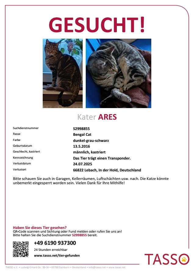 Ares - In der Hold, Lebach