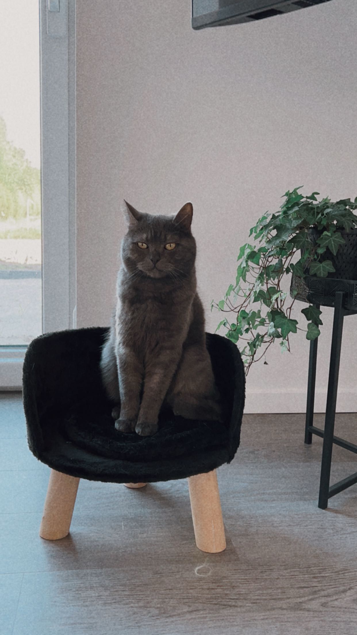 Loki - Südobenende, Uplengen