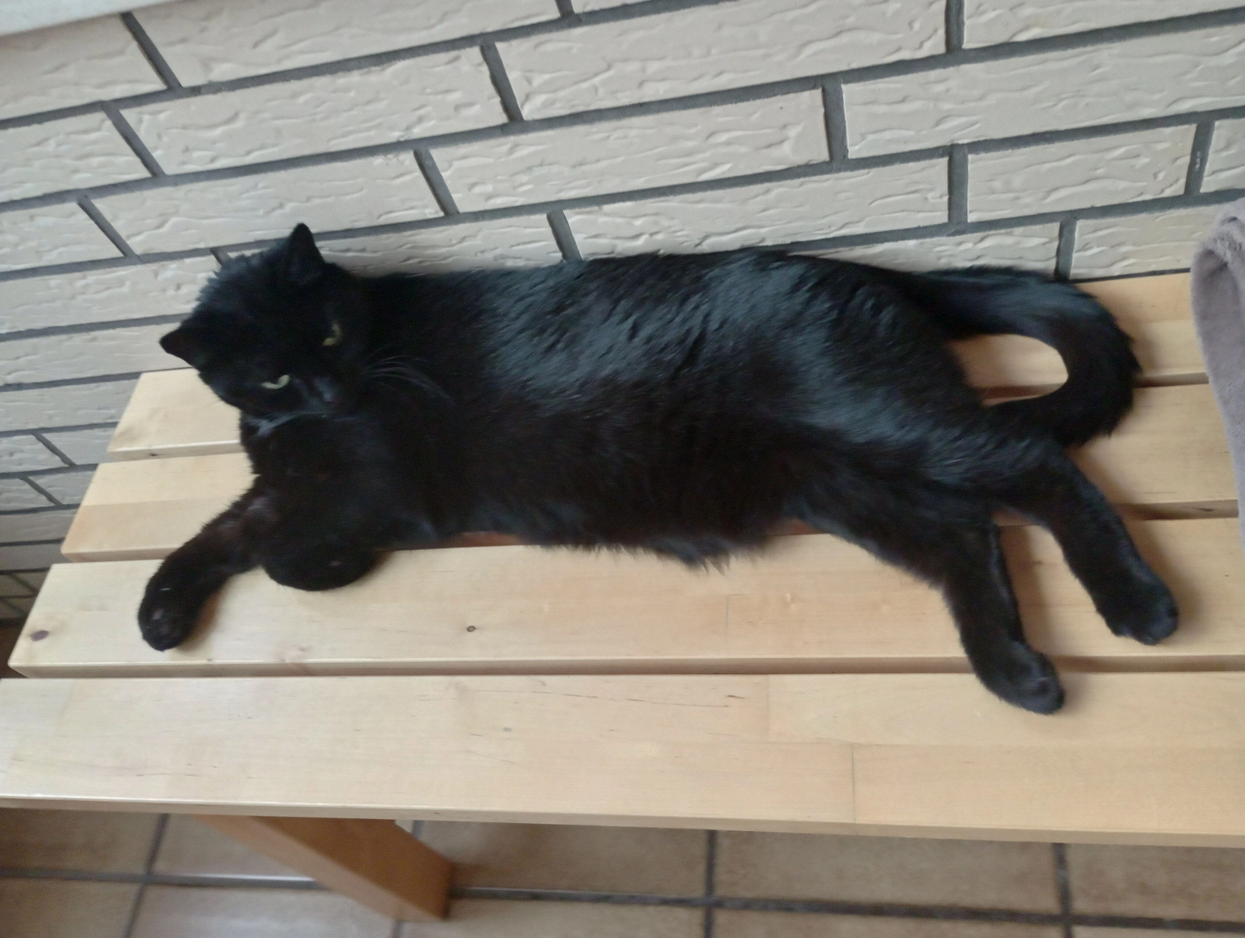 Popatze - Ostlandstraße, Lübbecke