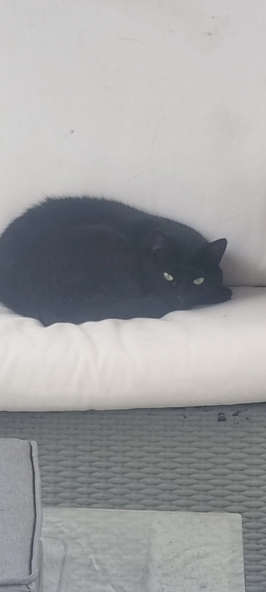 Luna - Wharfedale Avenue, Birkenhead