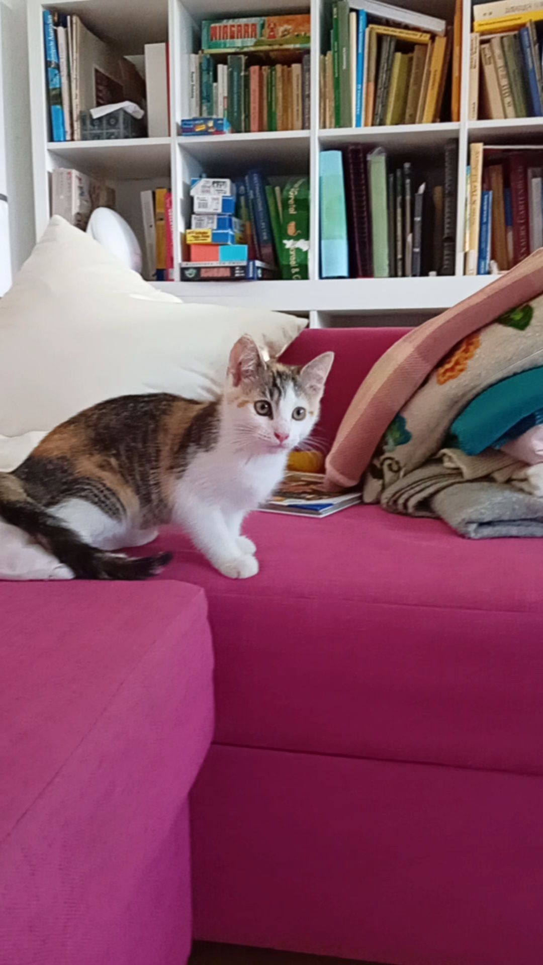 Kitana  - Lange Straße, Greifswald