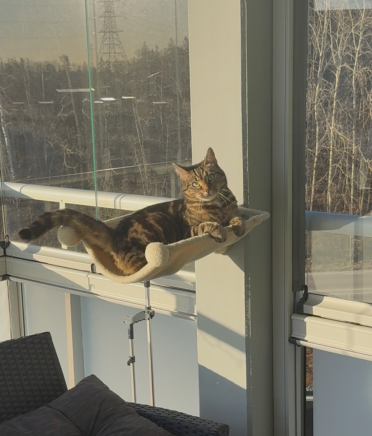 Bunia  - Havsörnsvägen, Stockholm