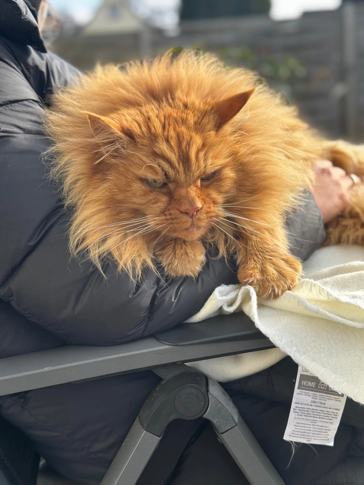 Sammy - Grabenstraße, Höxter