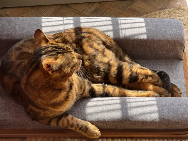Gizgaz - Stanton Square, Peterborough