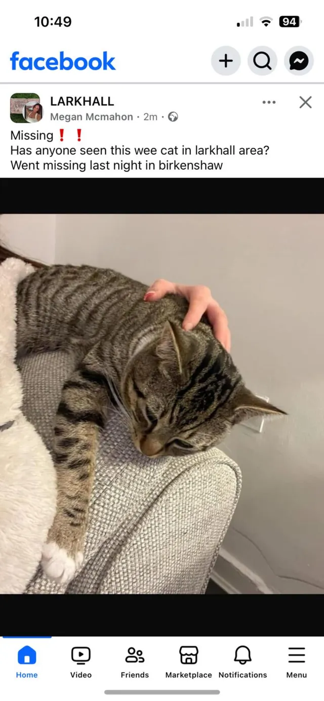 Cookie  - 96 Avon Road, Larkhall