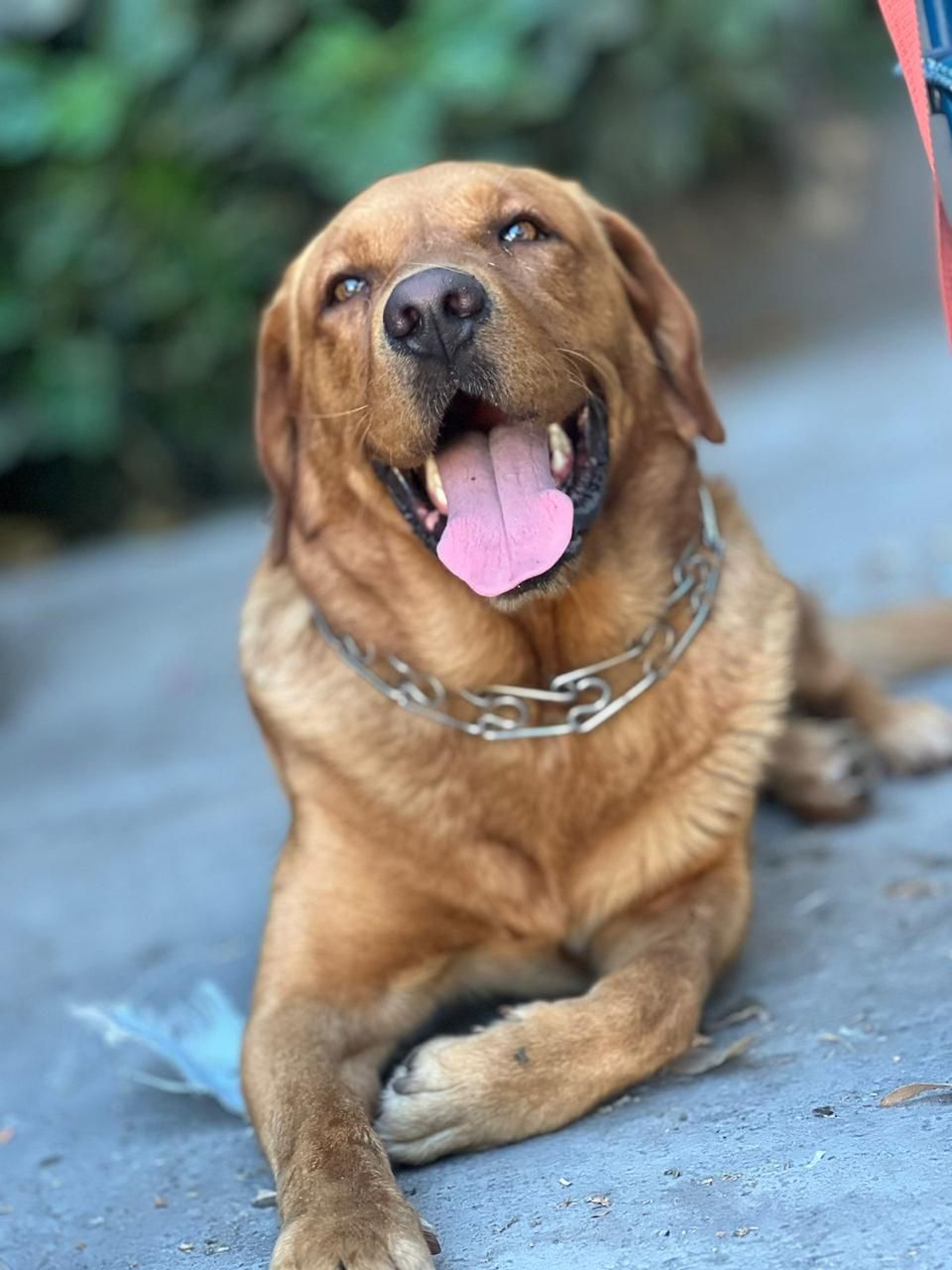 Félix - 20, Casablanca