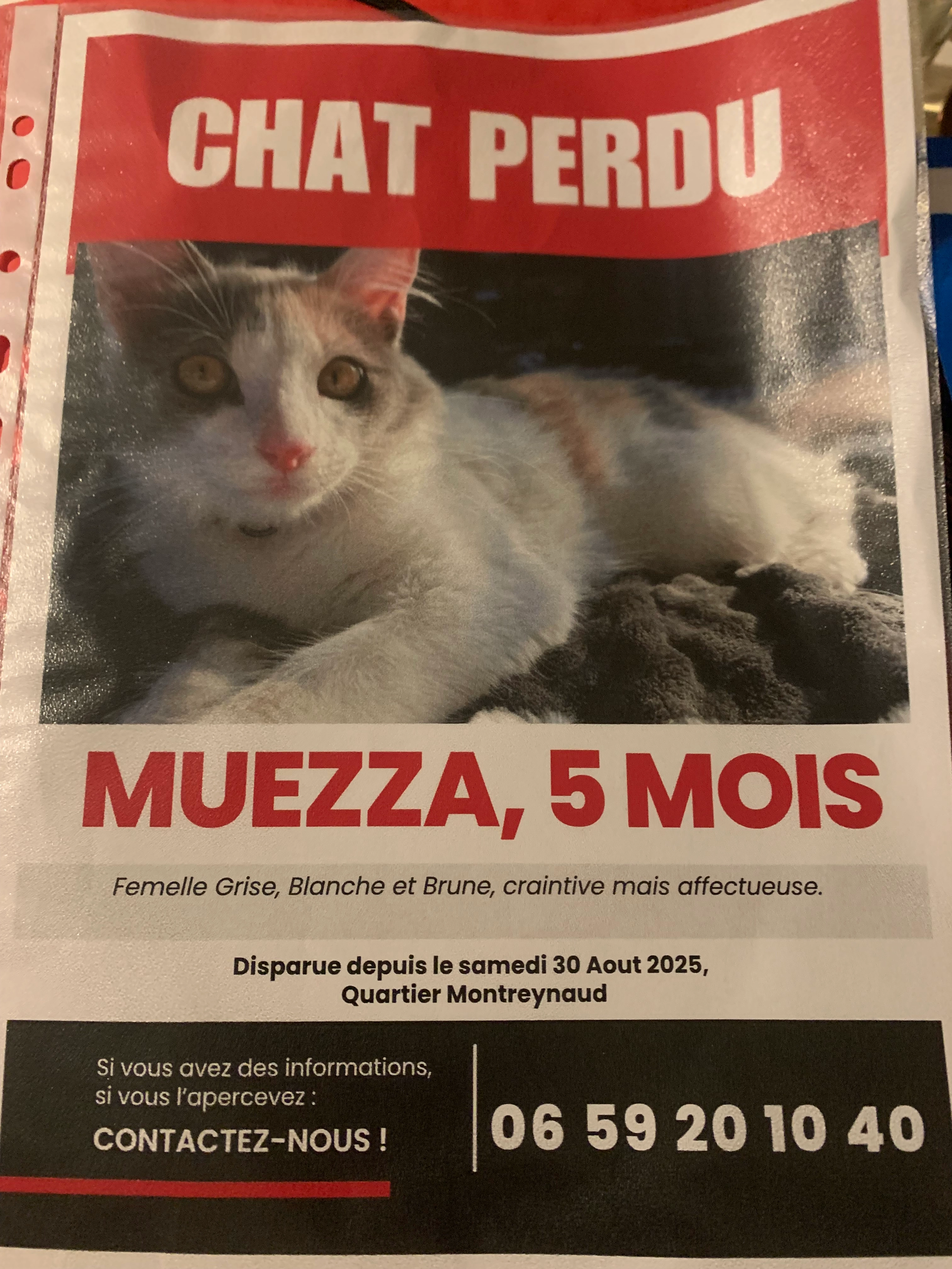 Muezzat - 24 Allée des Trois Chênes, Saint-Étienne