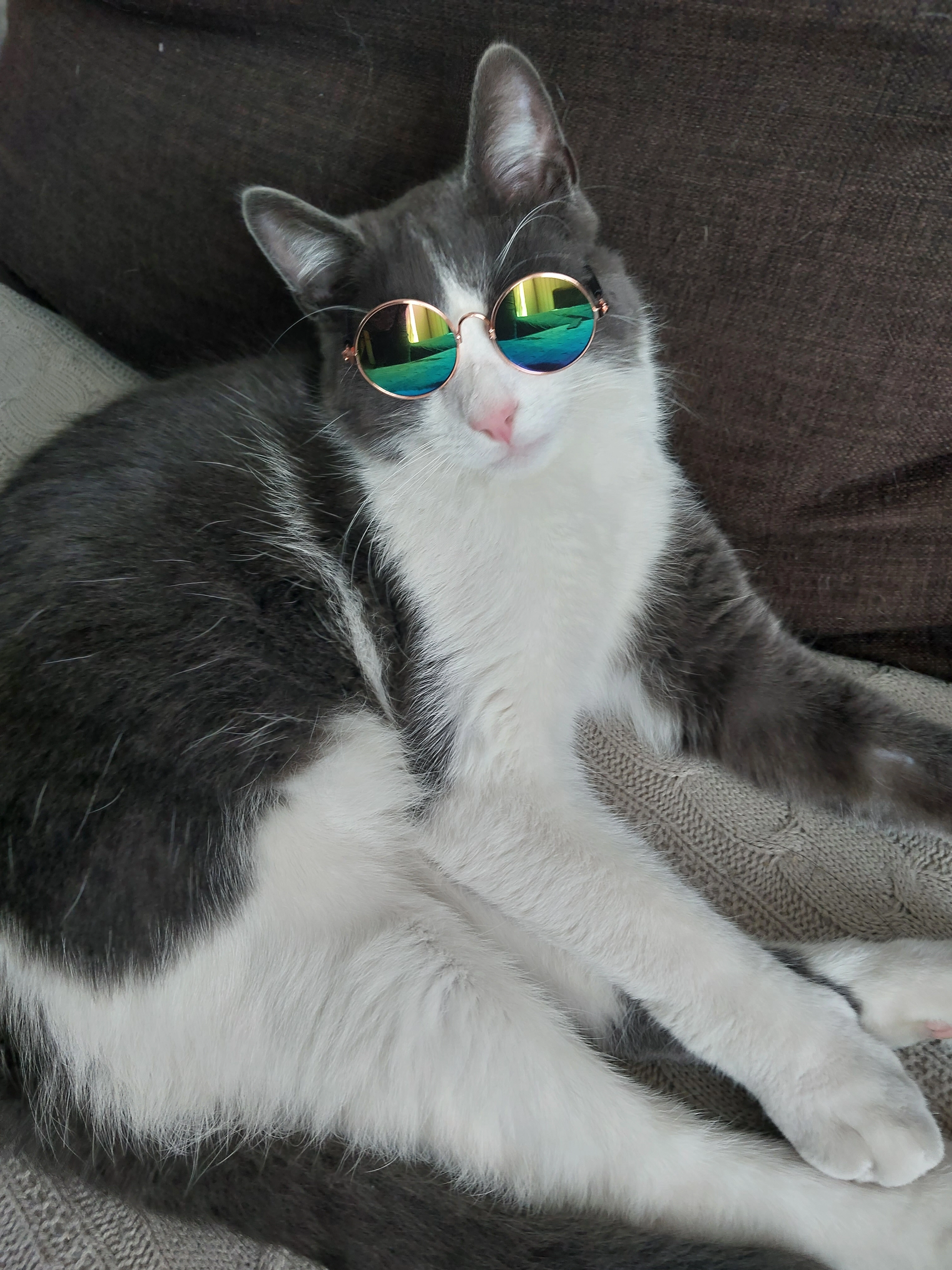 Haïro - 10 Rue de Flandre, La Queue-en-Brie