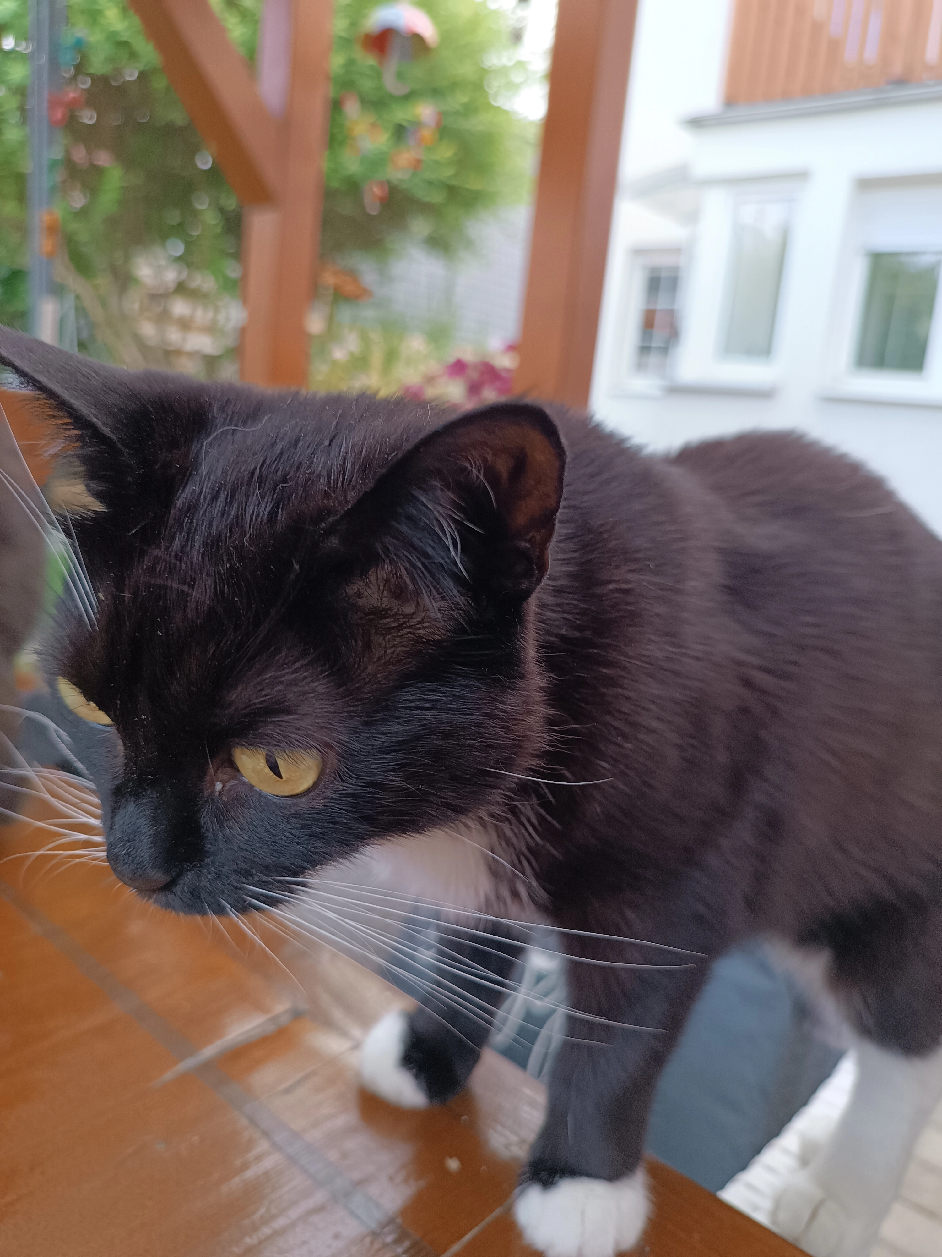 Pauline  - Schillerstraße, Amt Wachsenburg