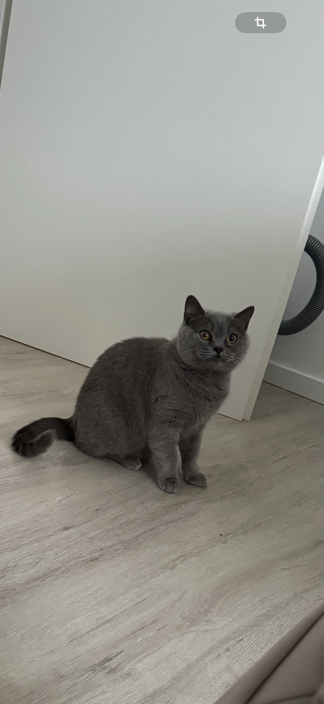 Yumak - Ludweilerstraße, Völklingen