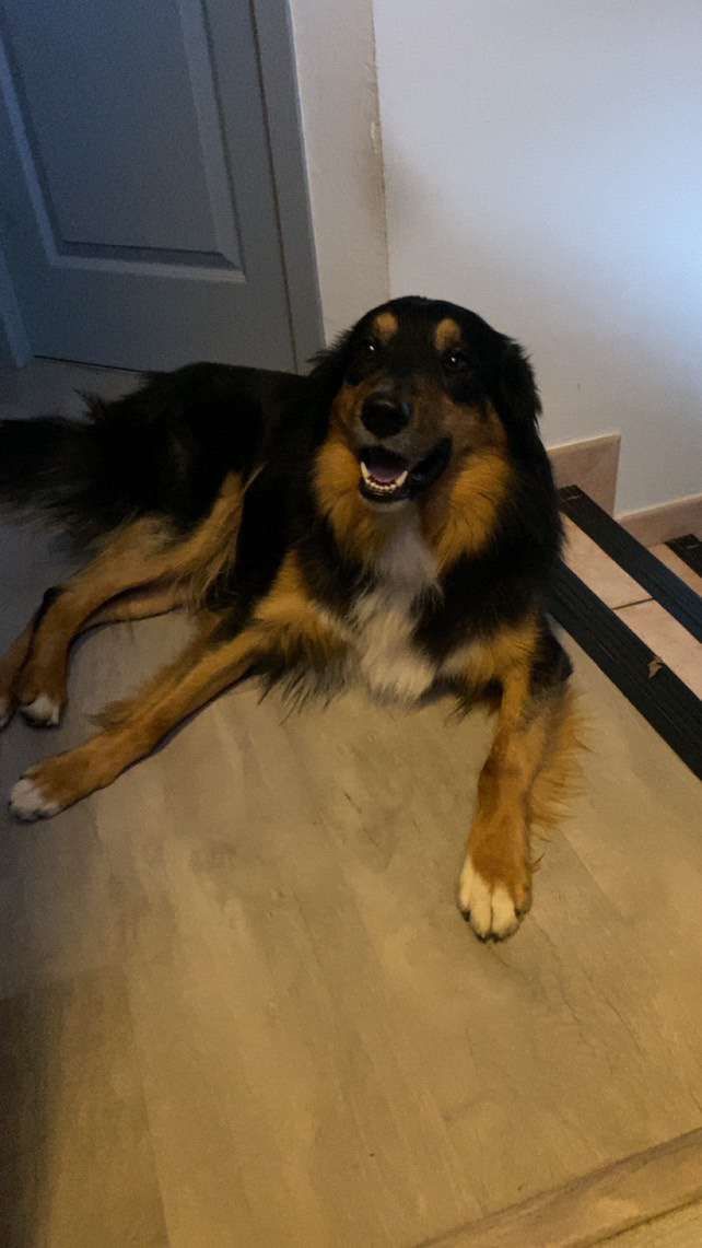 Taygo - Rue de la Déportation, Bourg-de-Péage