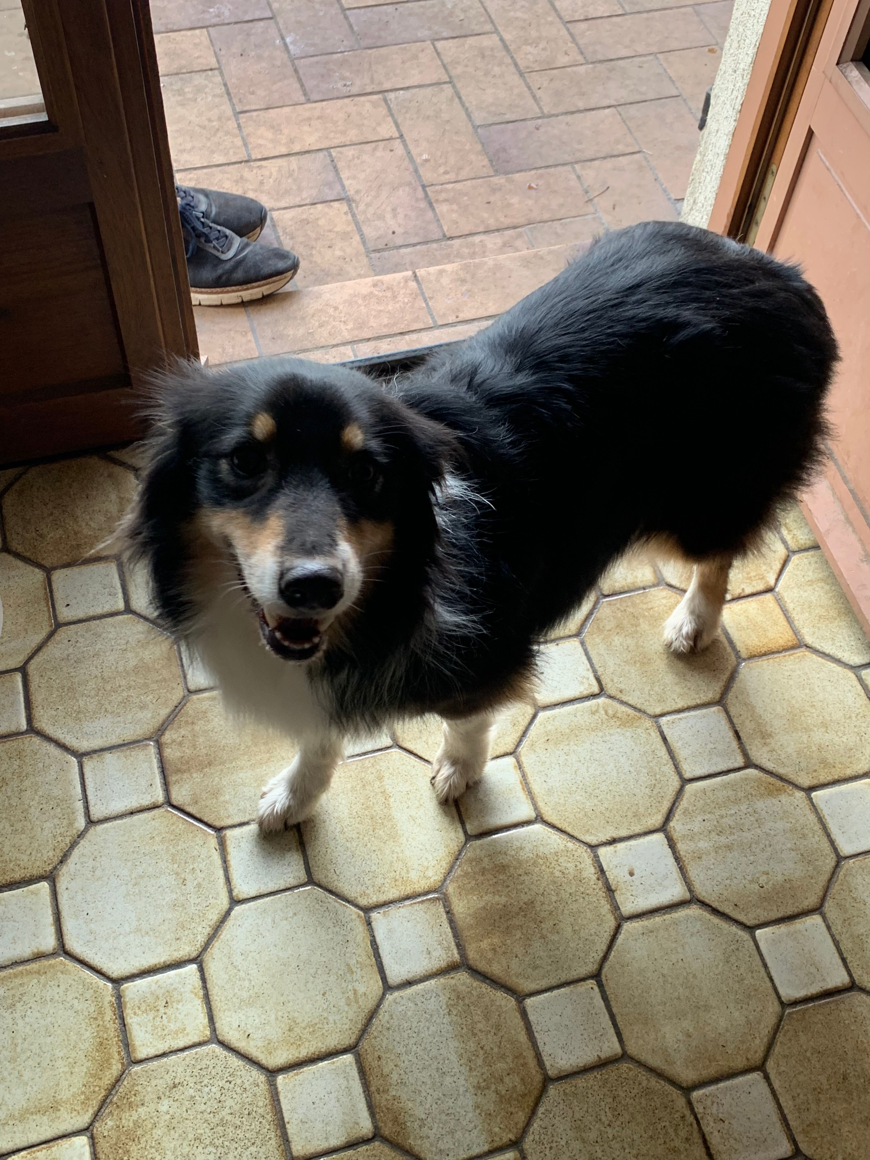 Oxane - Rue De Bareno, Neuvéglise