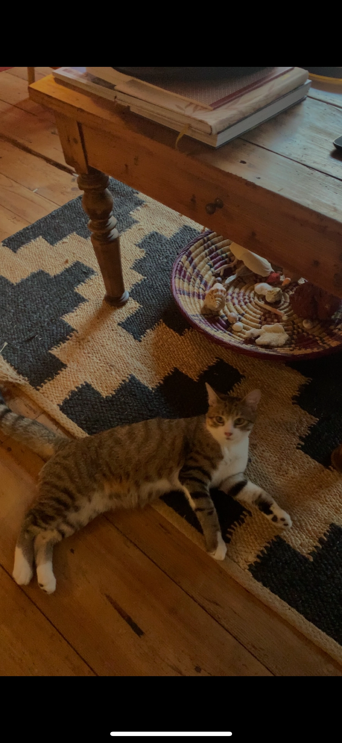 roméo  - Rue de Peyrouton, Dax