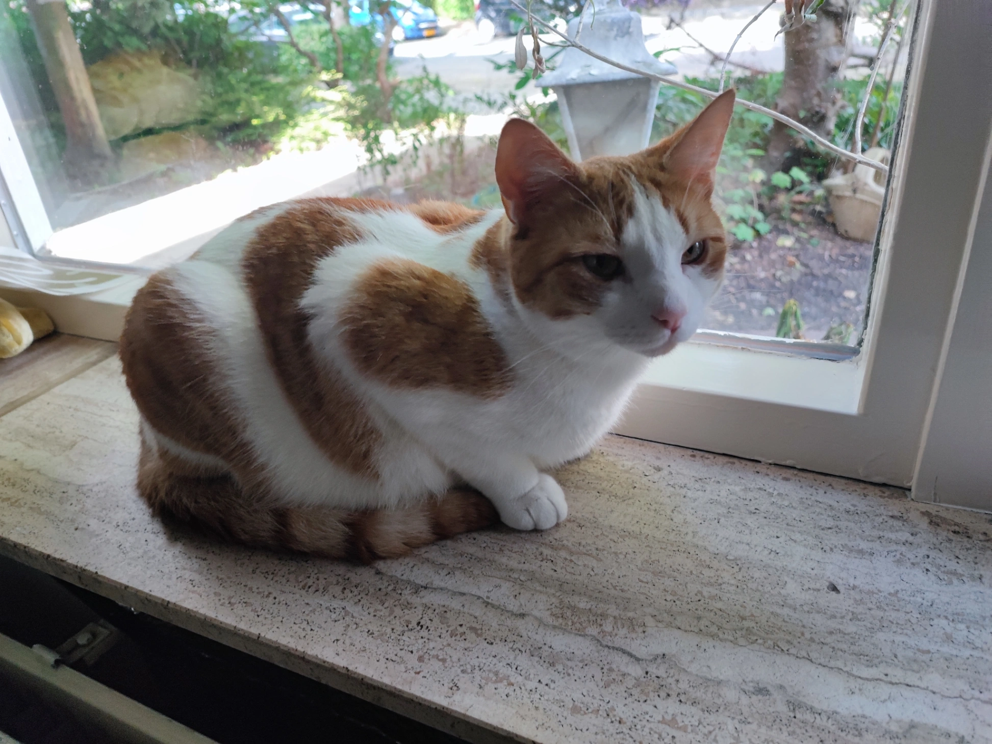 Diego - De Ruyterweg, Leeuwarden