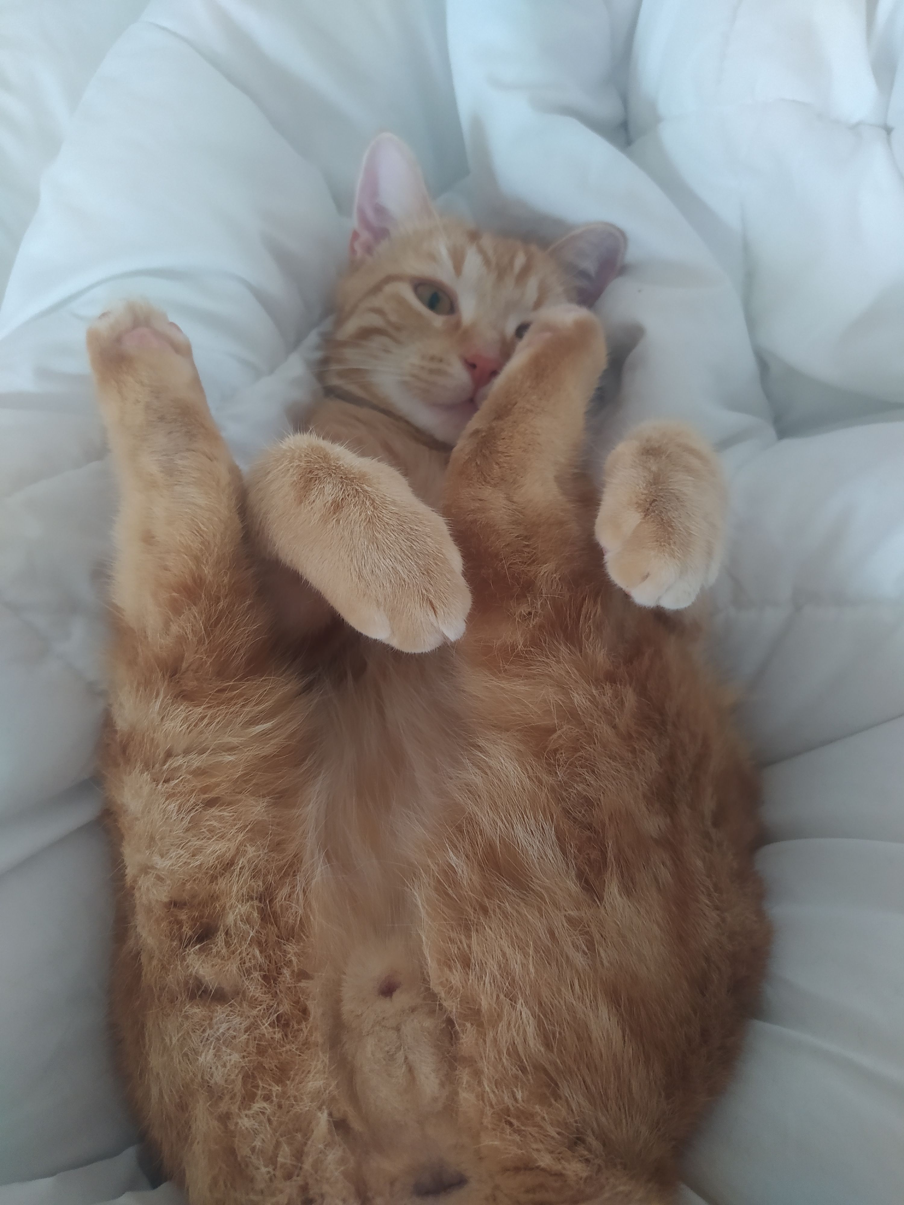 Safran - Le Village, Pierrepont-sur-l'Arentèle