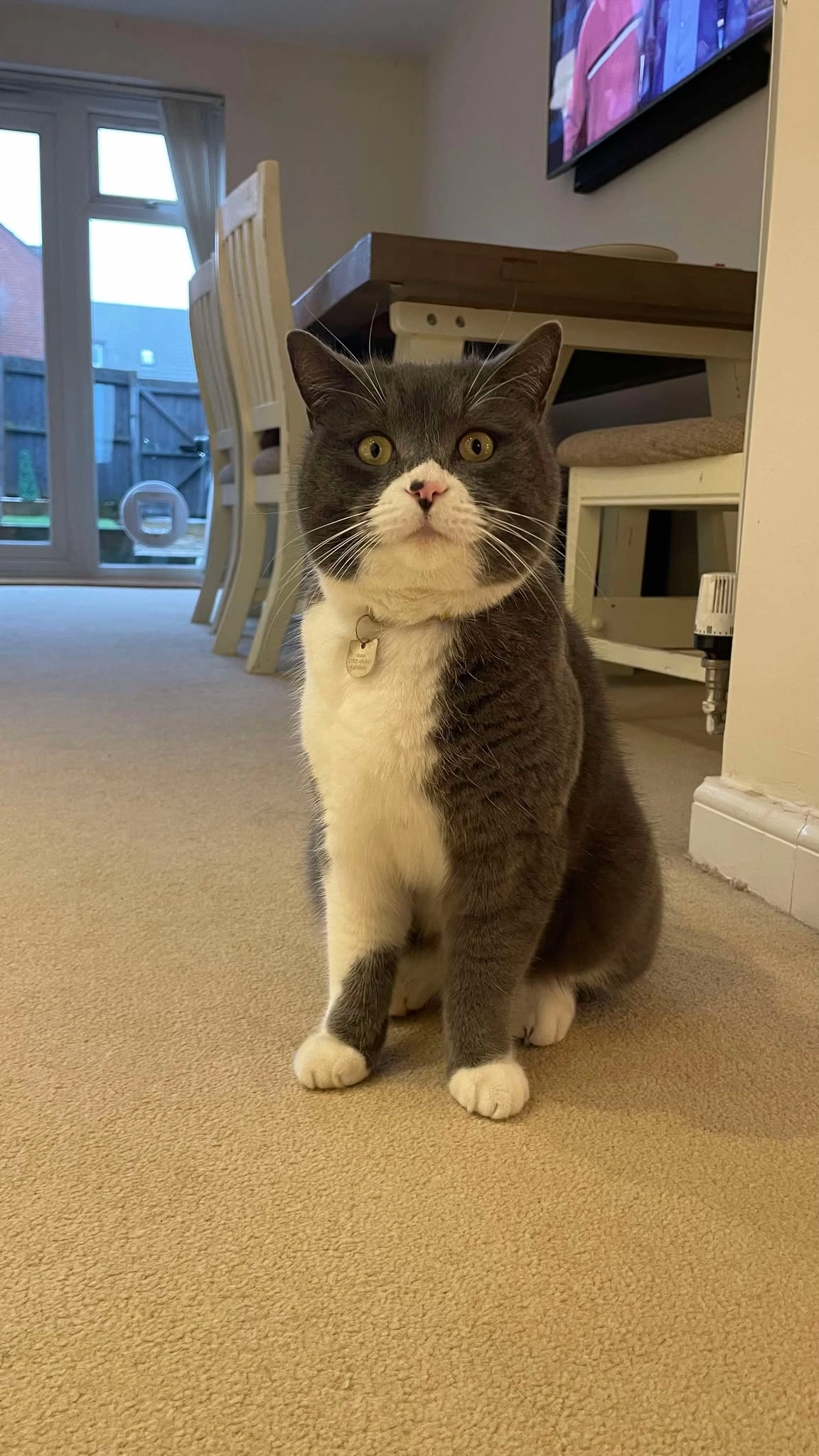 Goose - Sorbus Avenue, Telford