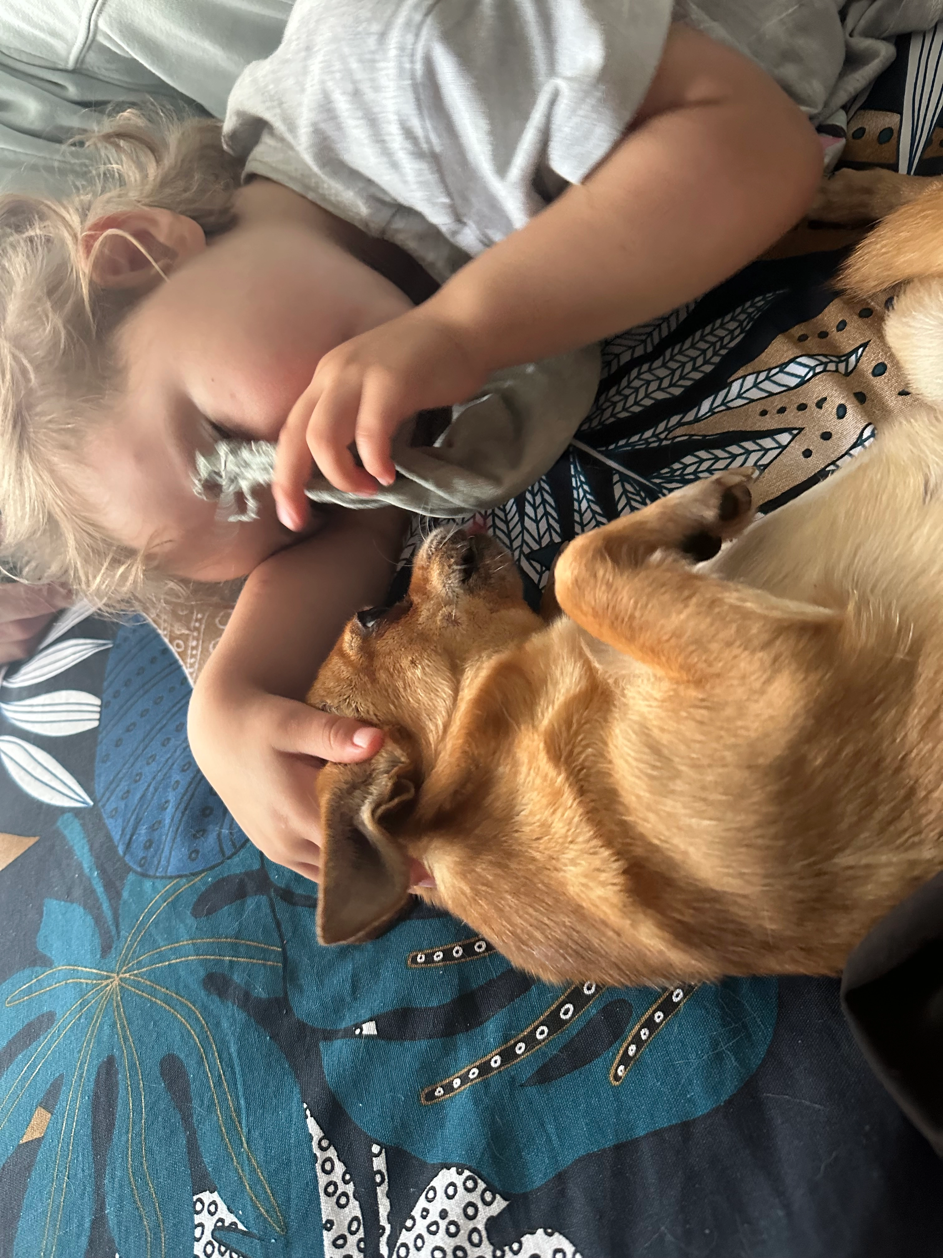 Minnie - Avenue De Bayonne, Léognan