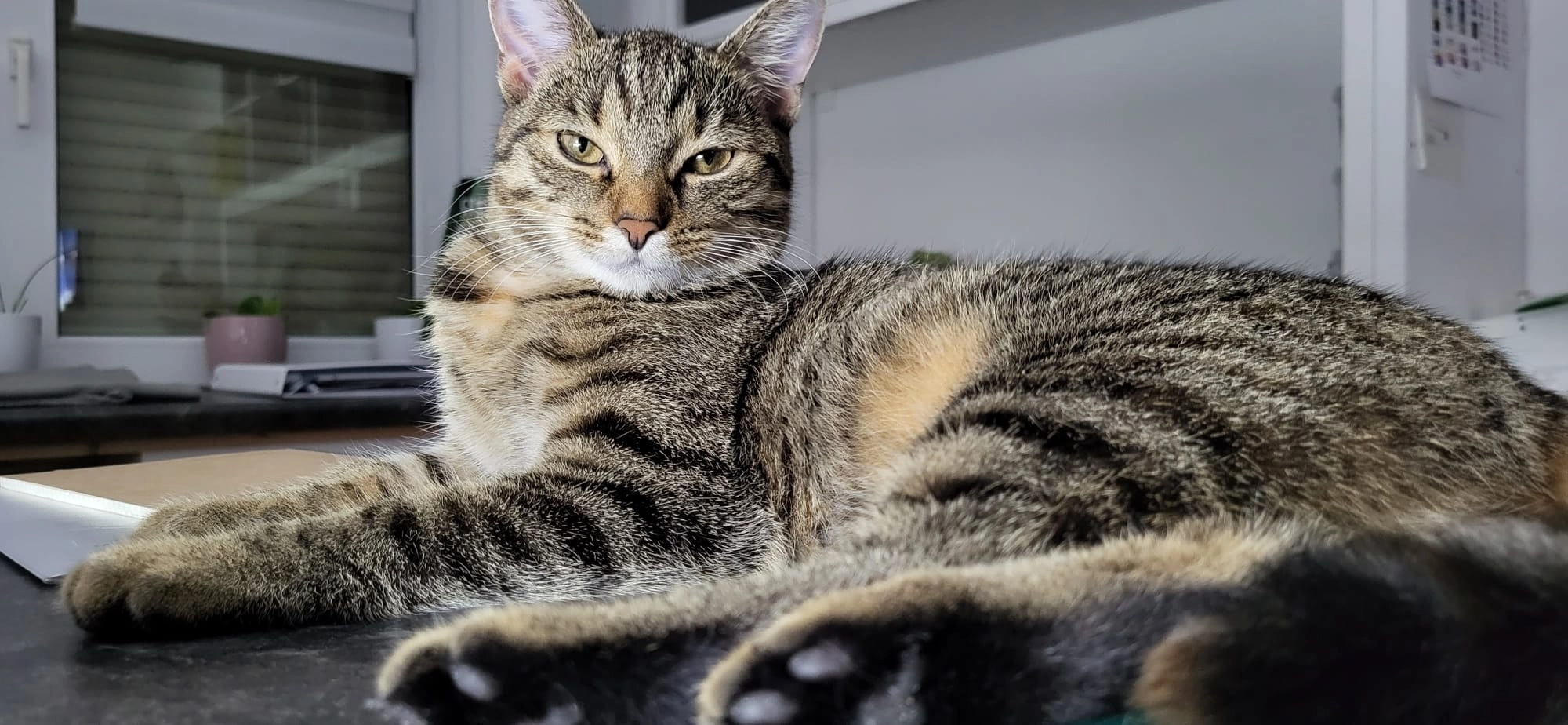 Luna  - Am Karl-Marx-Platz 13, Delitzsch