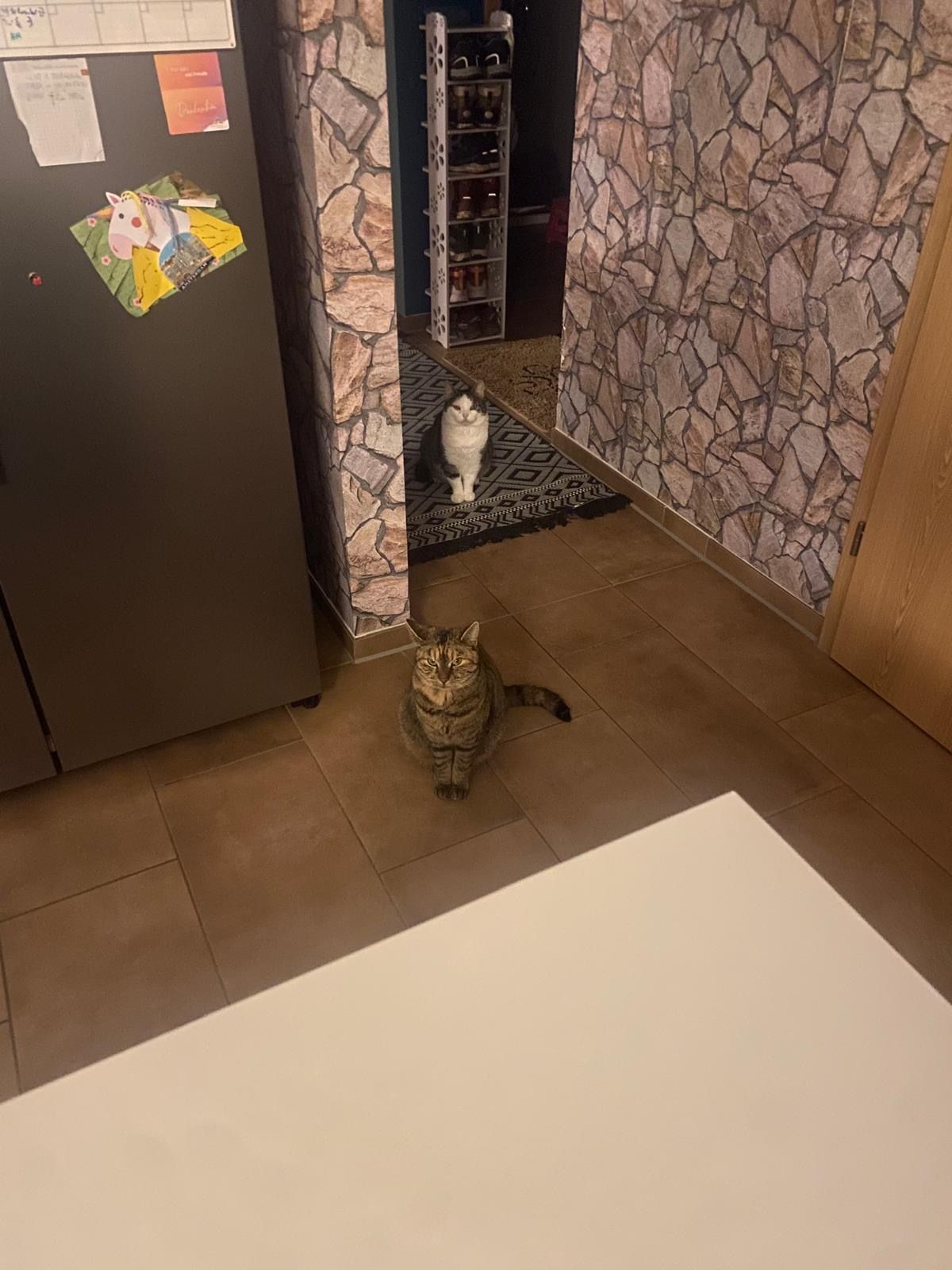 Minu - Feldbergblickstraße 5, Löffingen