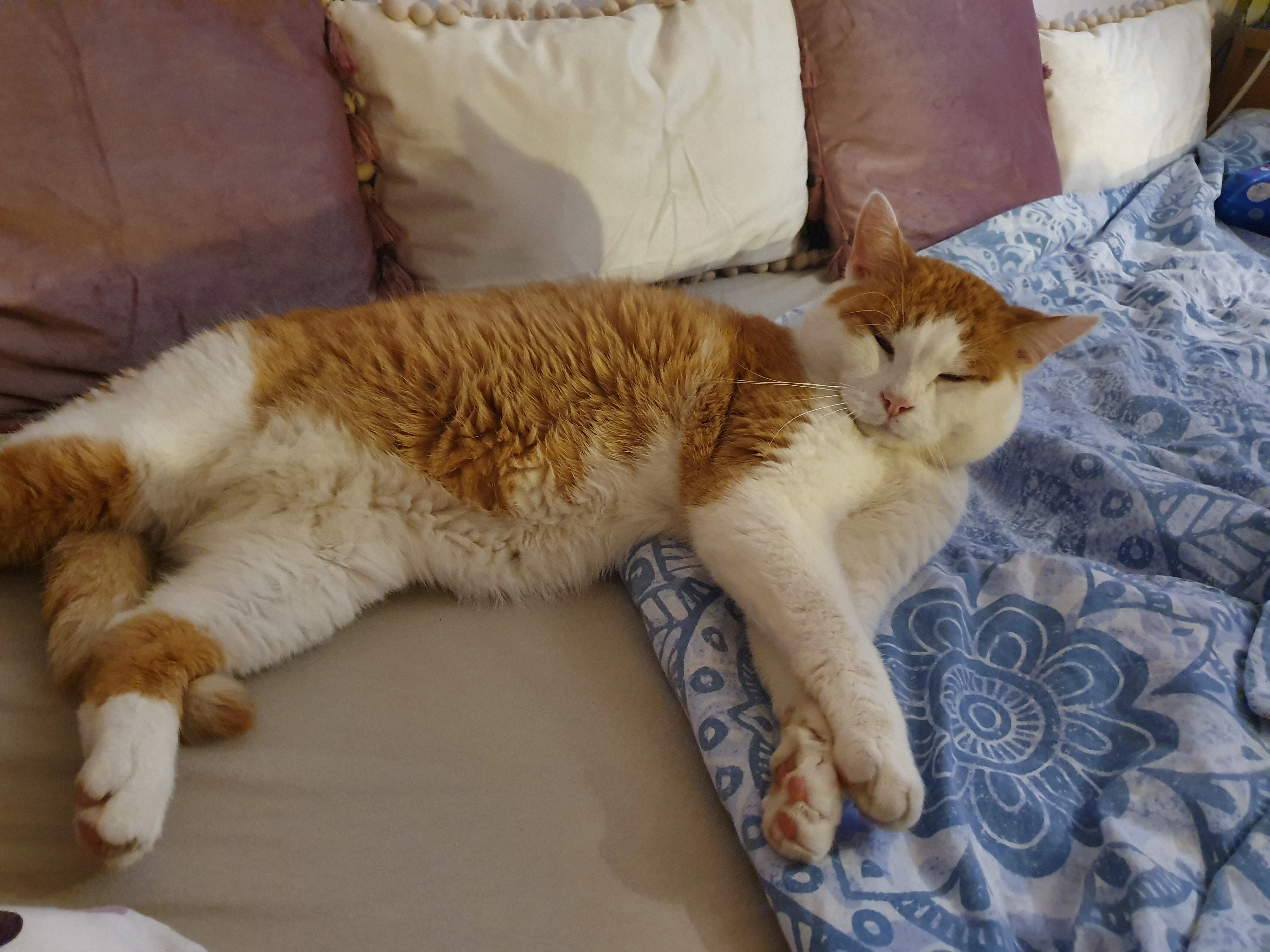 Schnurli - Gries 5, Taufkirchen an der Trattnach