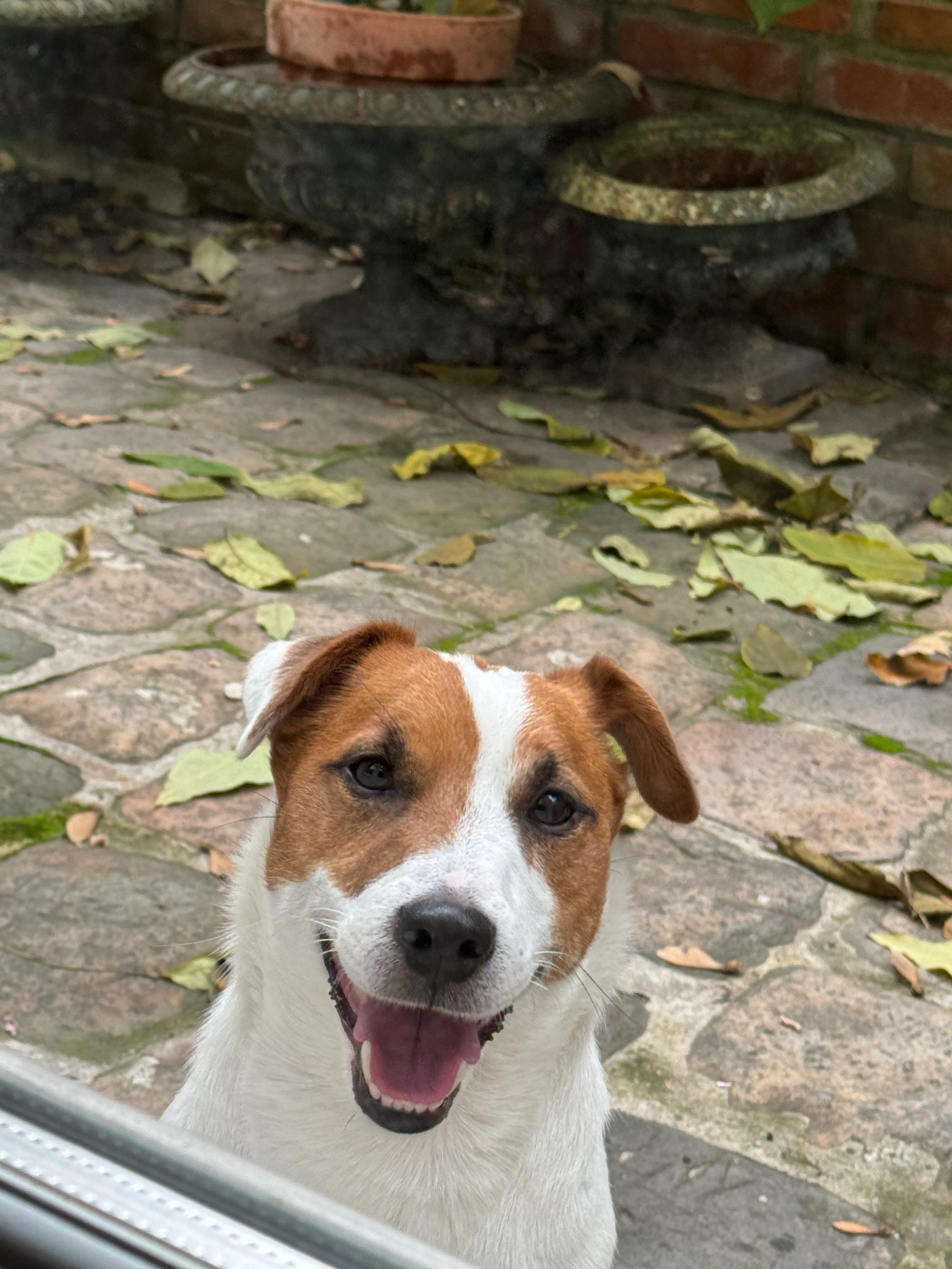 Charly - 6 Rue de l'Amiral de Coligny, Paris